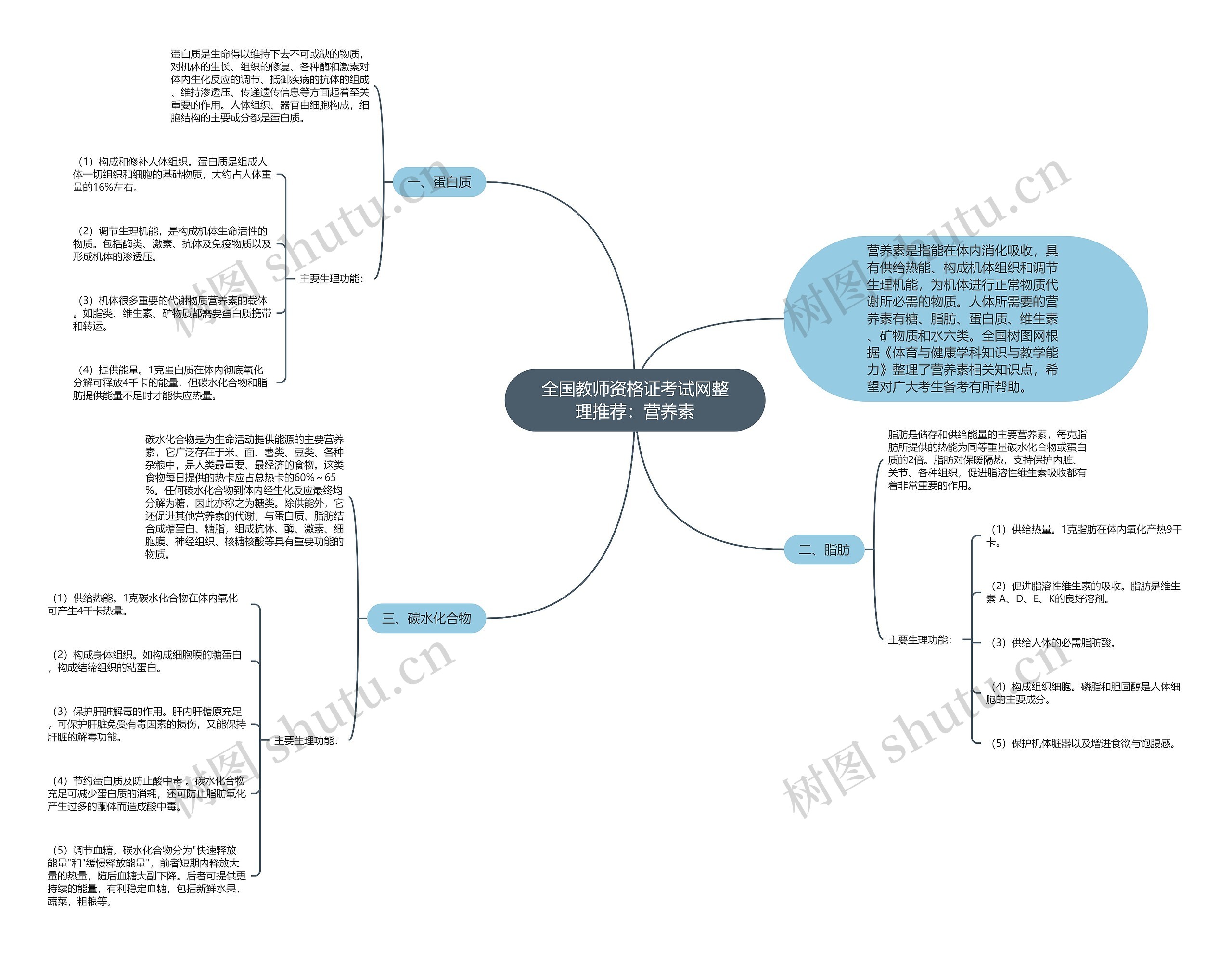 全国教师资格证考试网整理推荐：营养素思维导图
