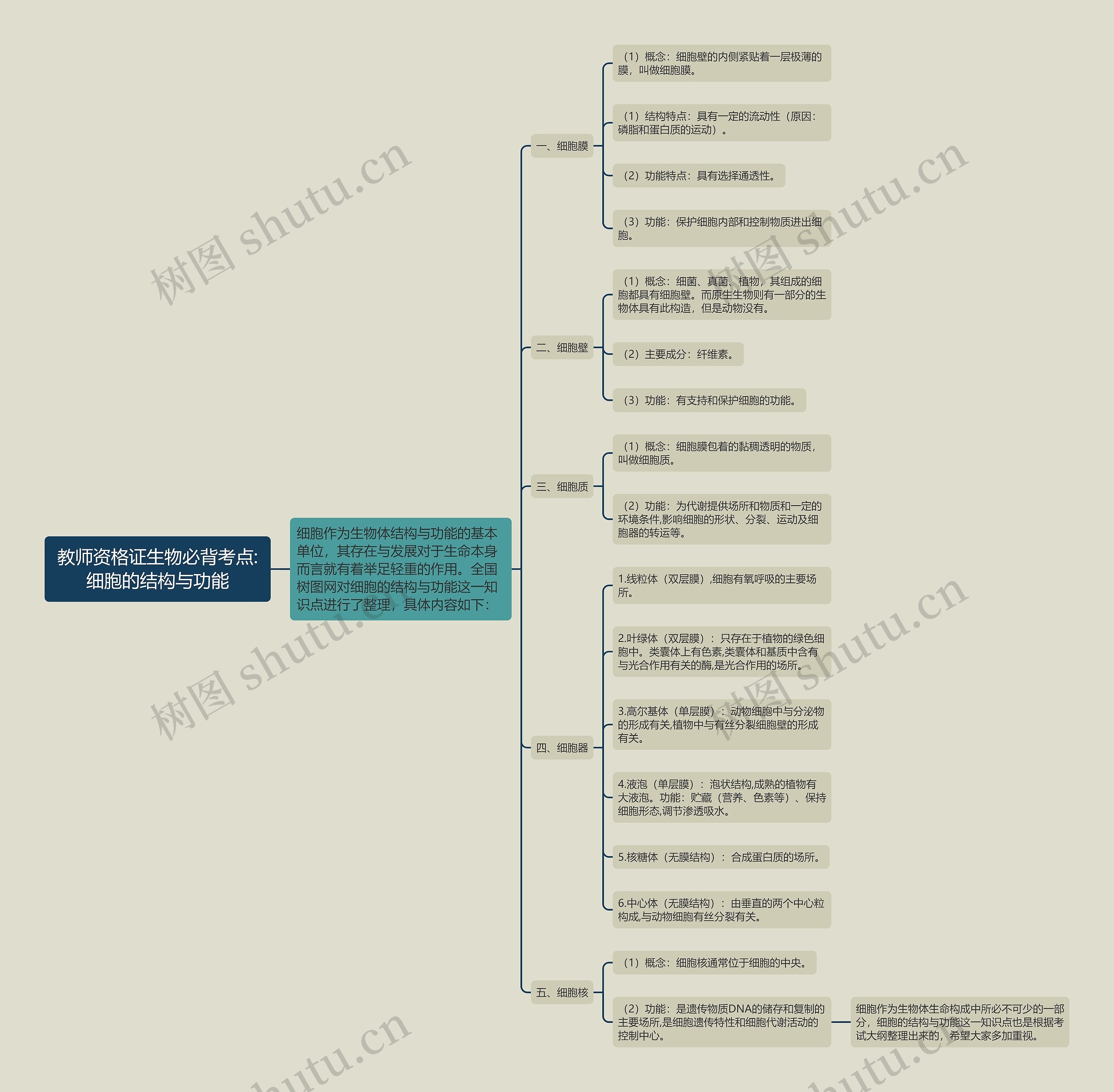 教师资格证生物必背考点:细胞的结构与功能思维导图
