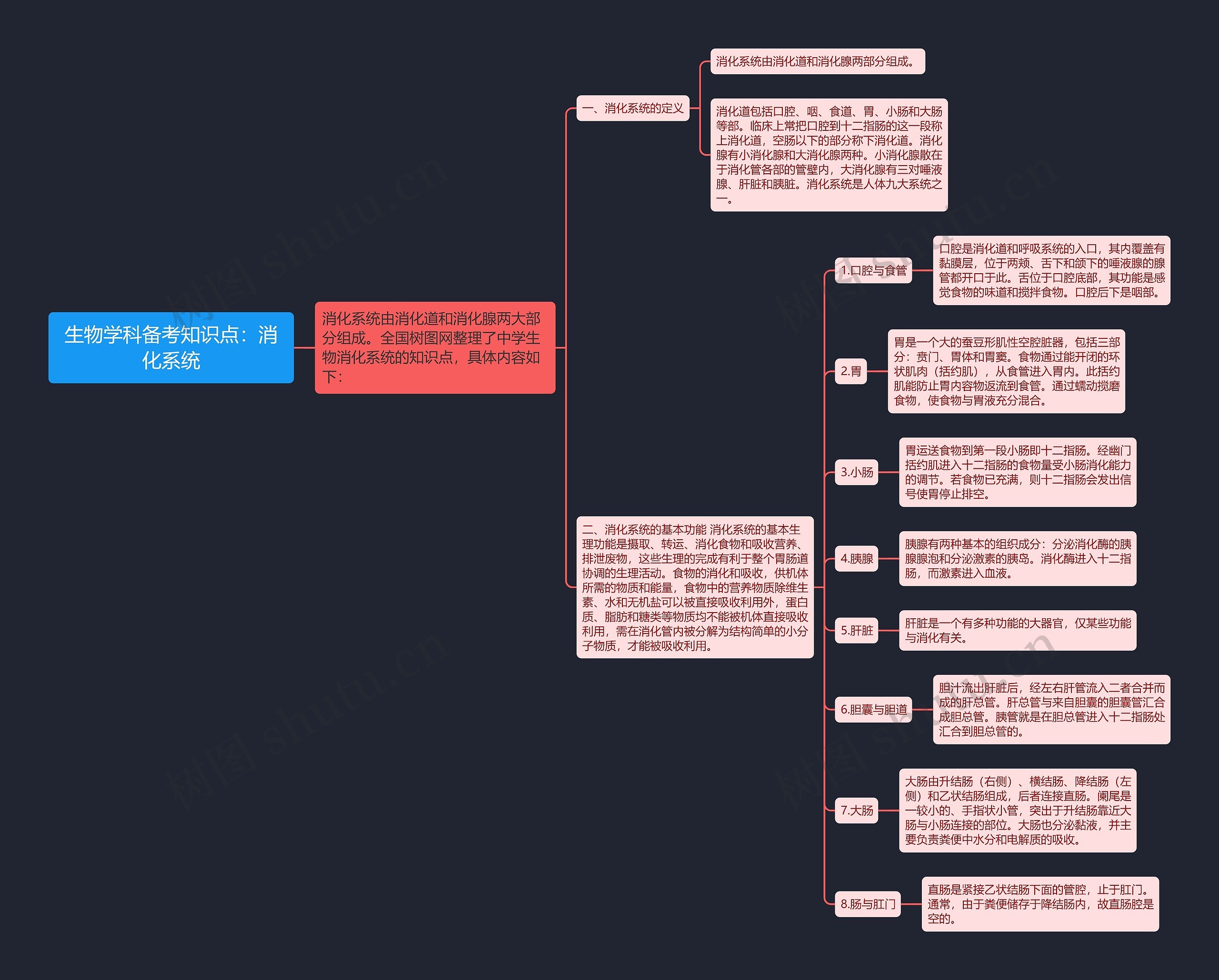 生物学科备考知识点：消化系统思维导图