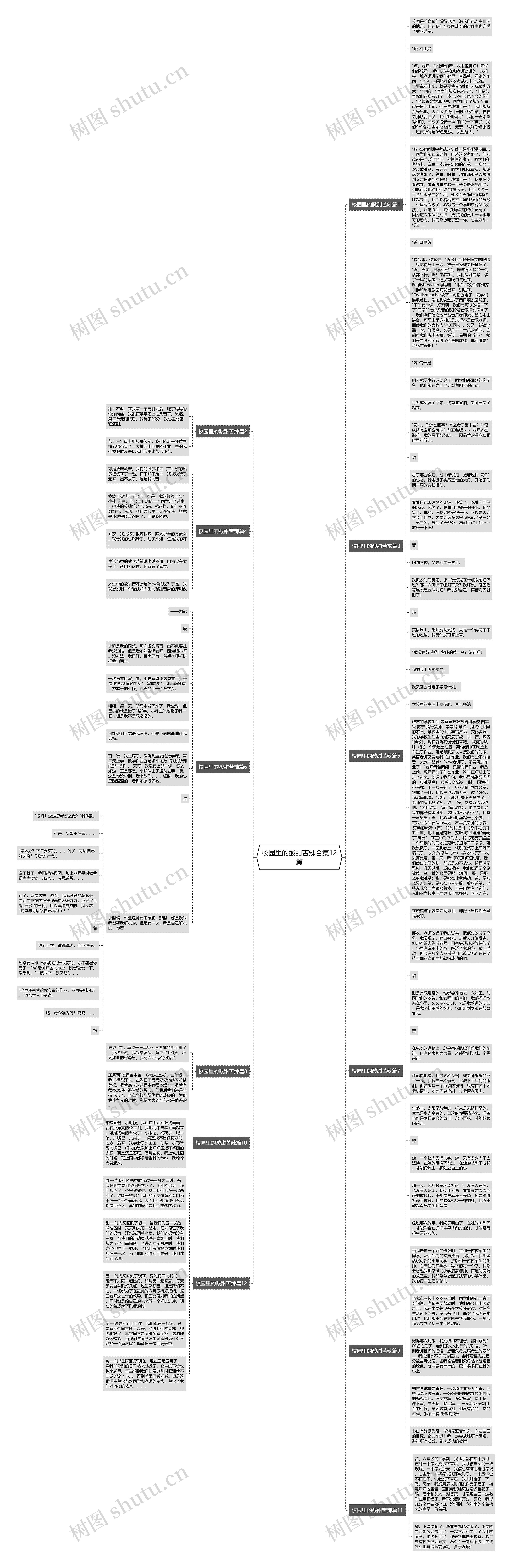 校园里的酸甜苦辣合集12篇思维导图