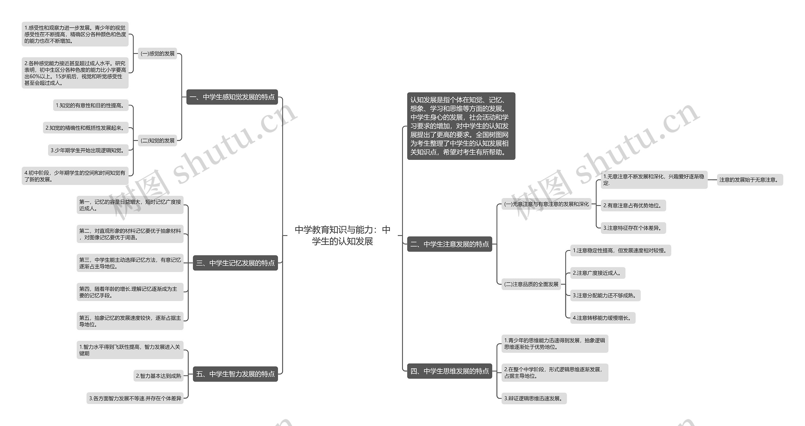 中学教育知识与能力：中学生的认知发展思维导图