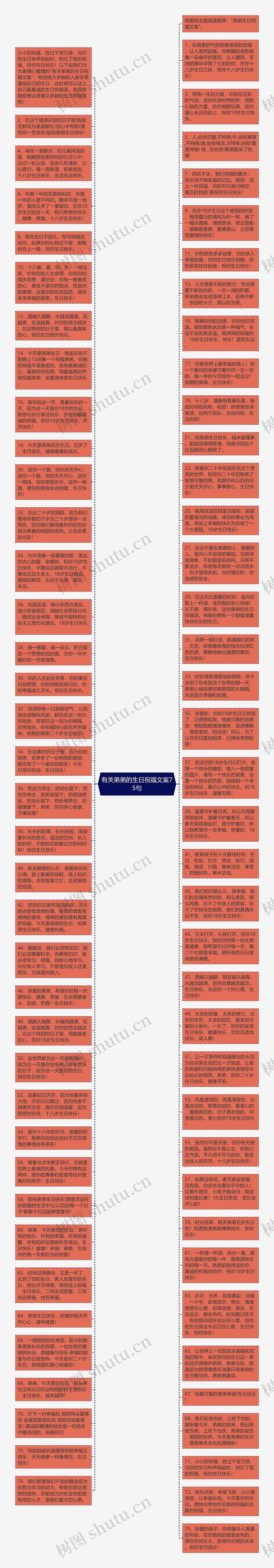 有关弟弟的生日祝福文案75句思维导图