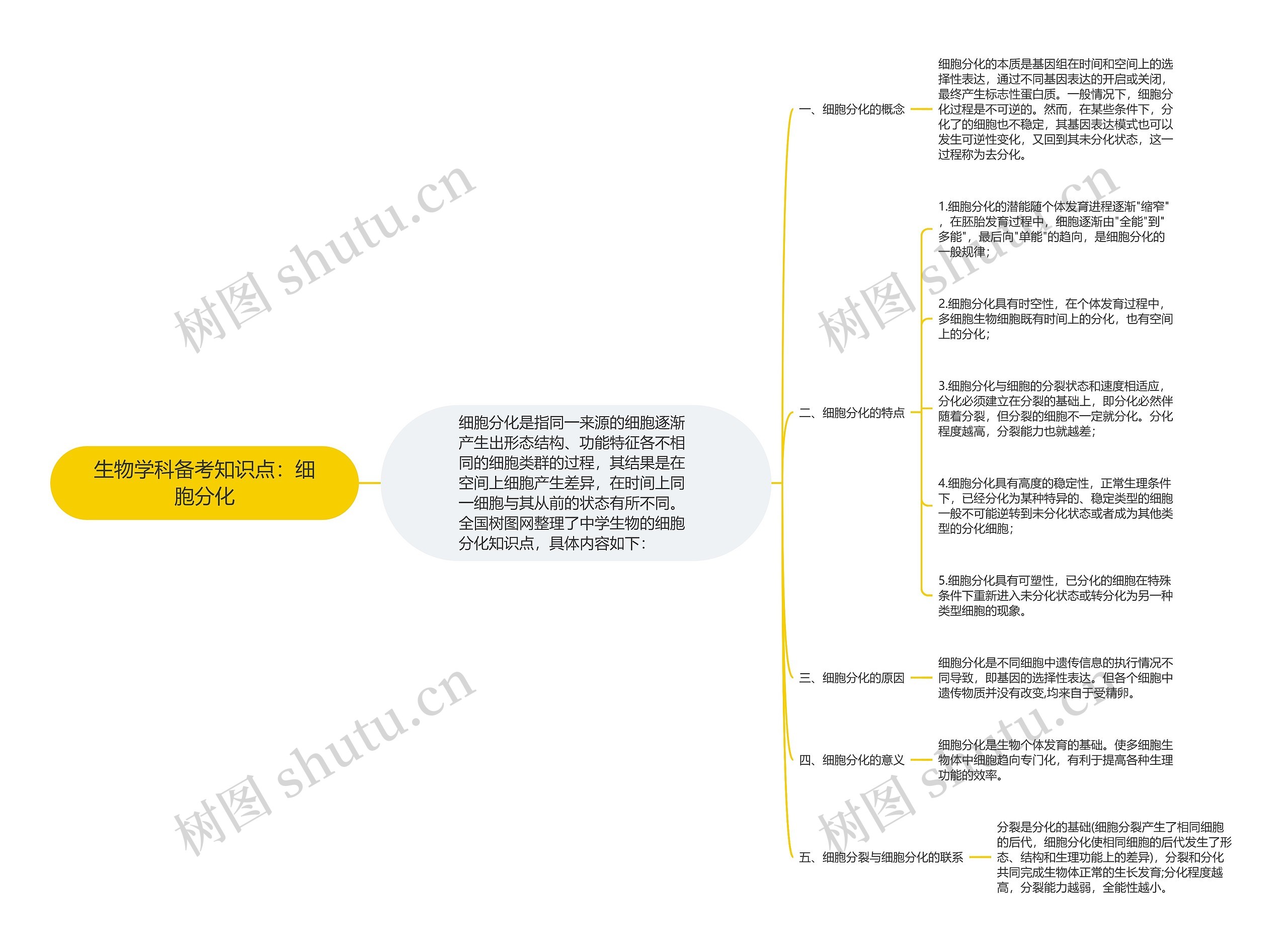 生物学科备考知识点：细胞分化