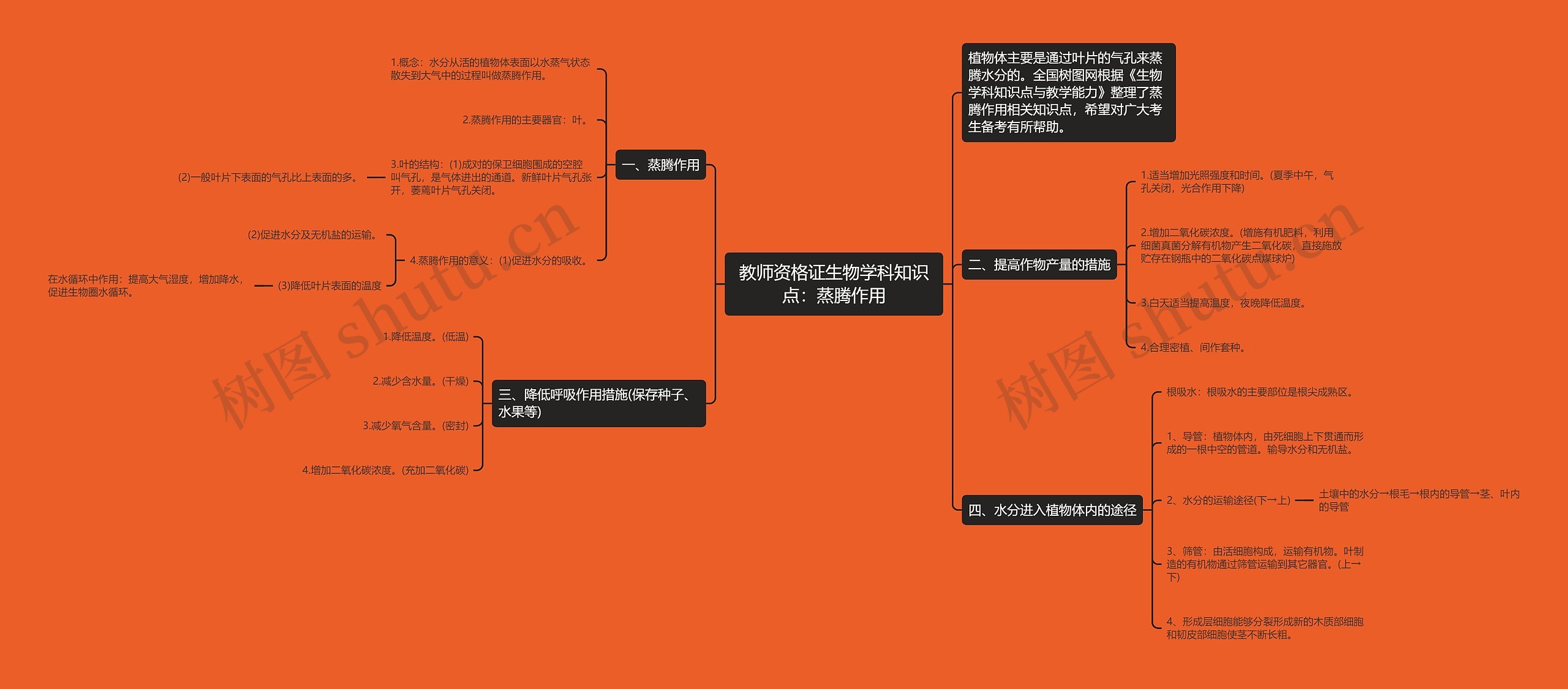 教师资格证生物学科知识点：蒸腾作用思维导图