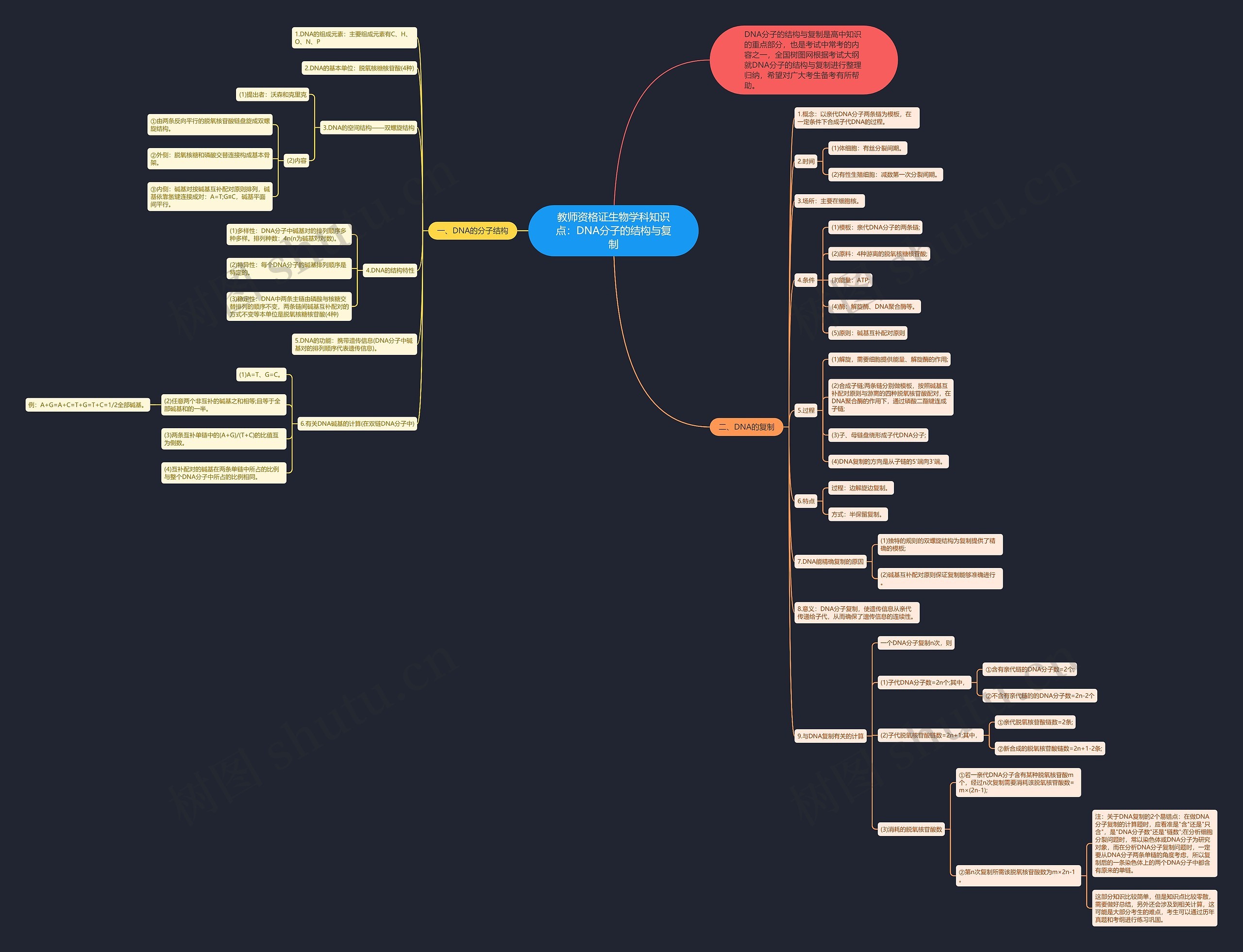 教师资格证生物学科知识点：DNA分子的结构与复制思维导图