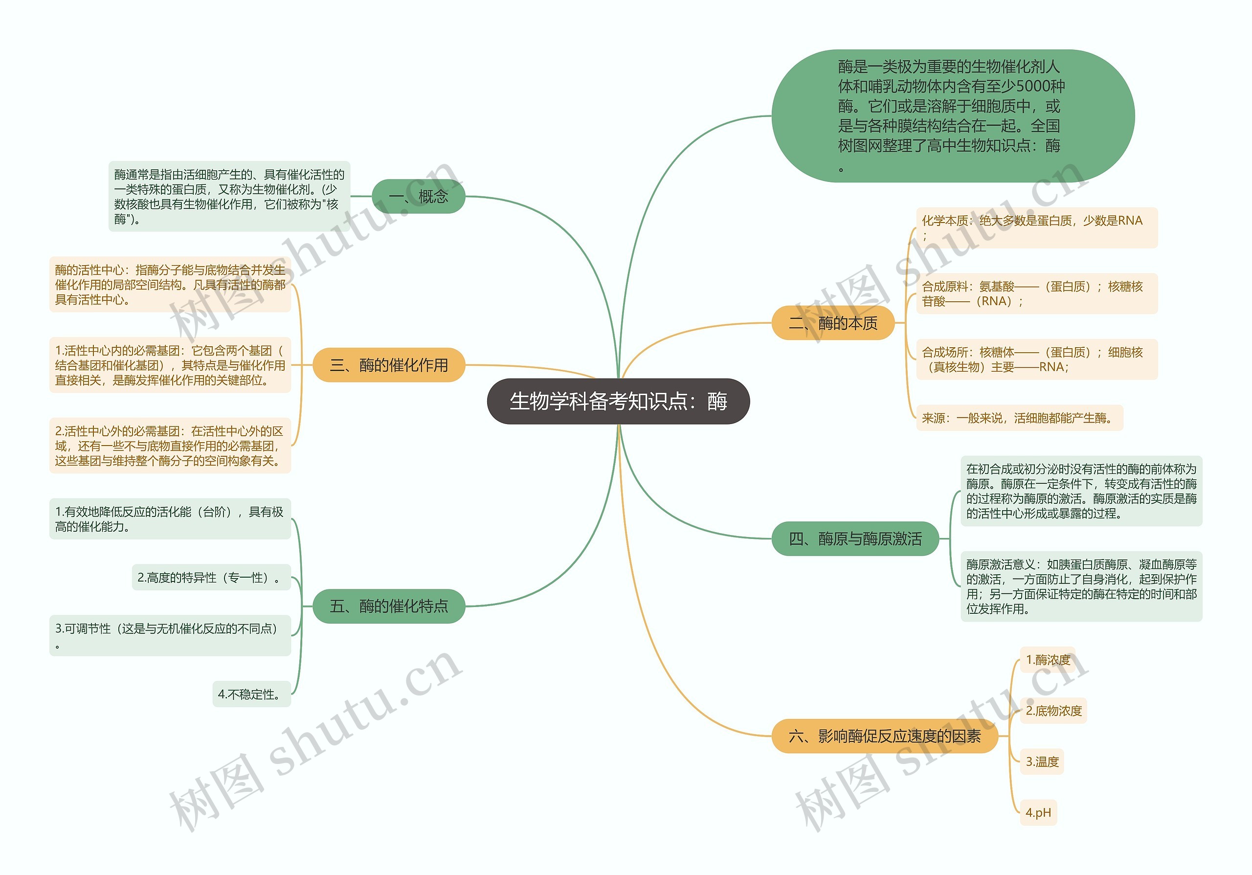 生物学科备考知识点：酶思维导图