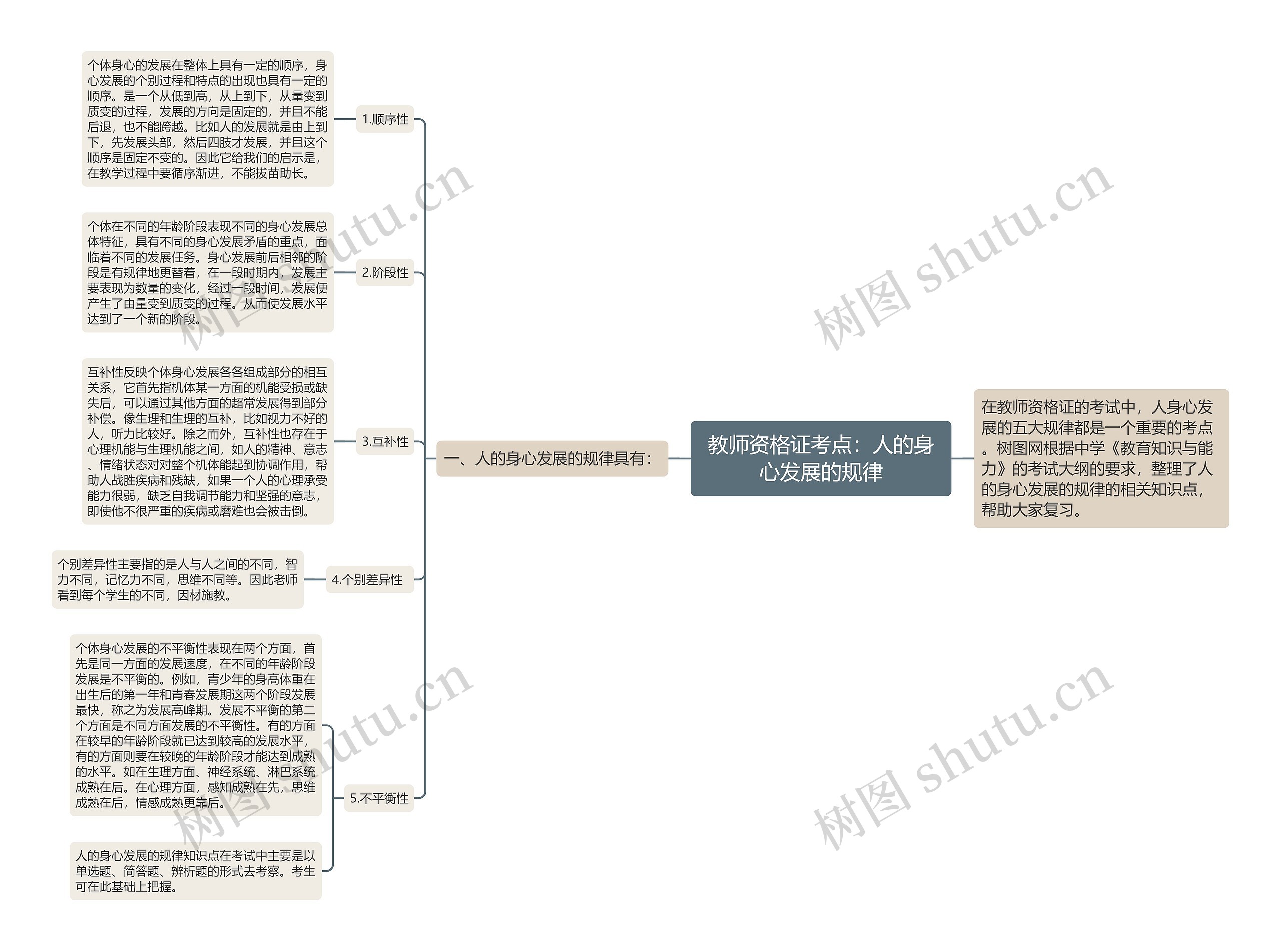 教师资格证考点：人的身心发展的规律思维导图