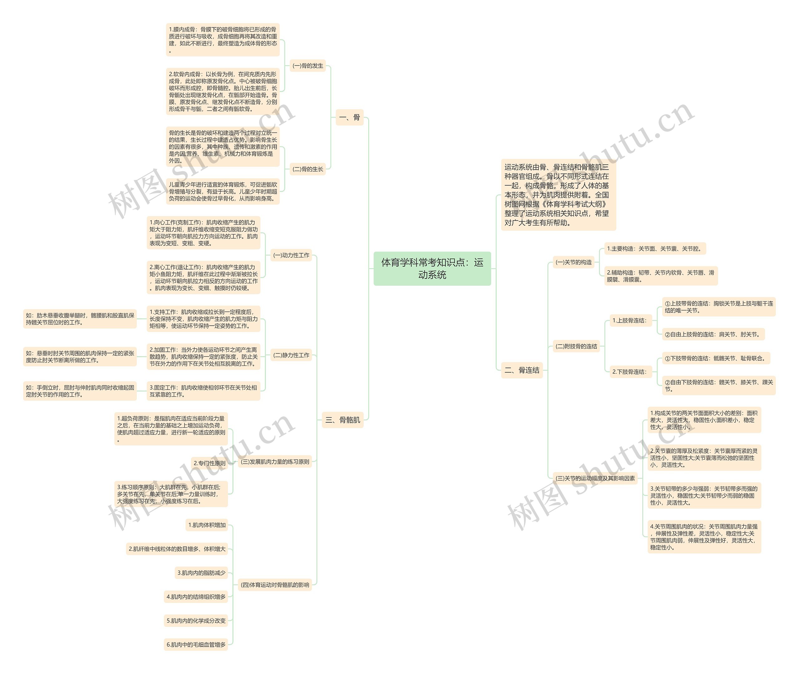 体育学科常考知识点：运动系统思维导图