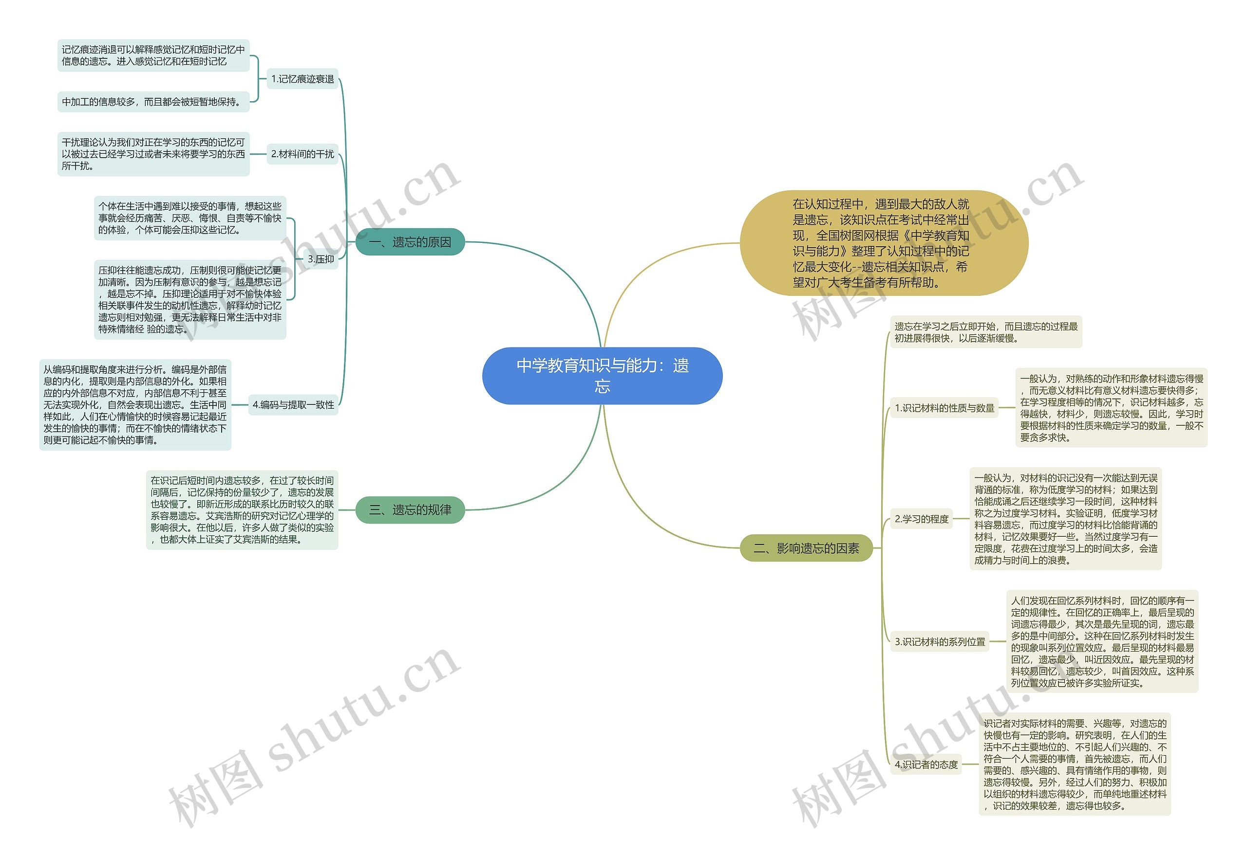 中学教育知识与能力：遗忘思维导图