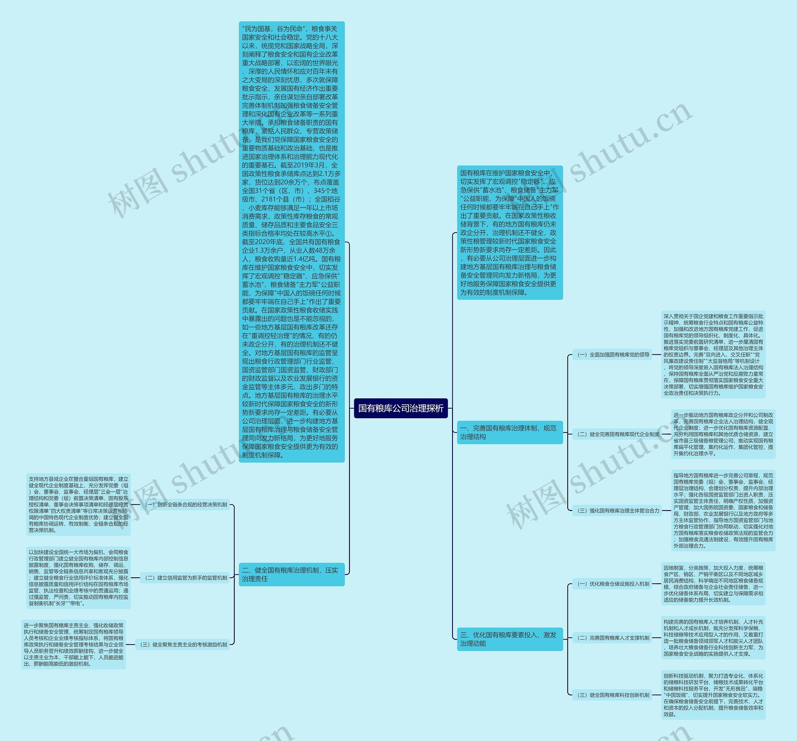 国有粮库公司治理探析思维导图