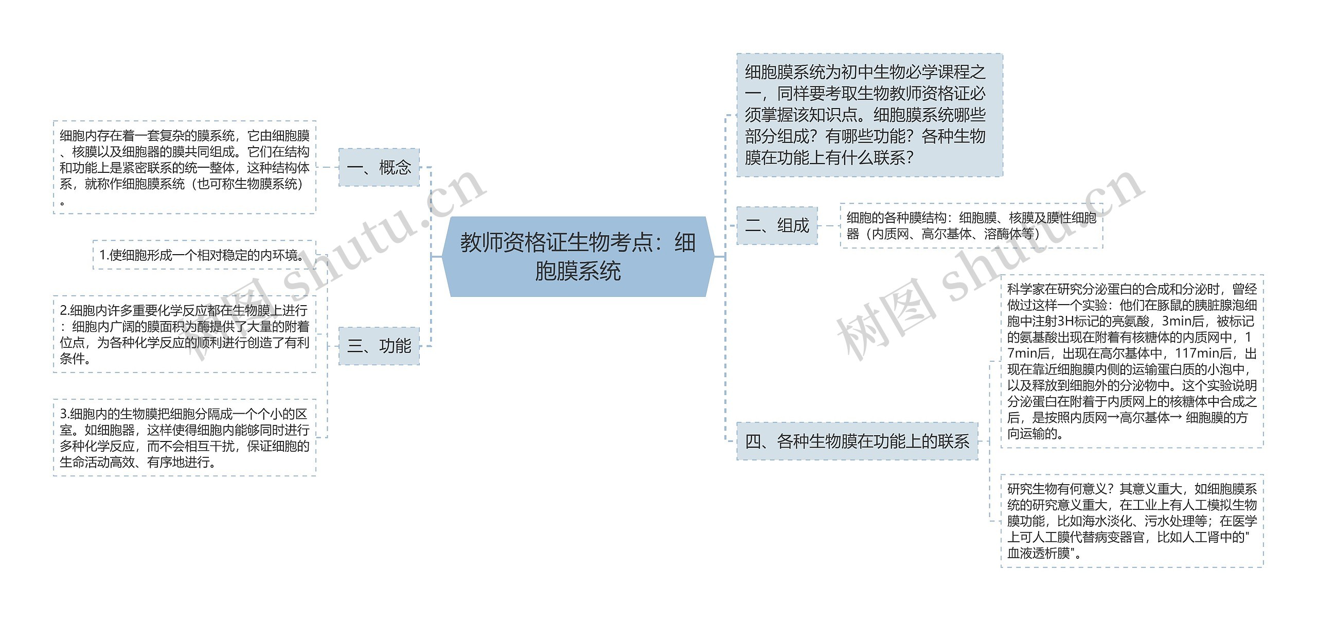 教师资格证生物考点：细胞膜系统