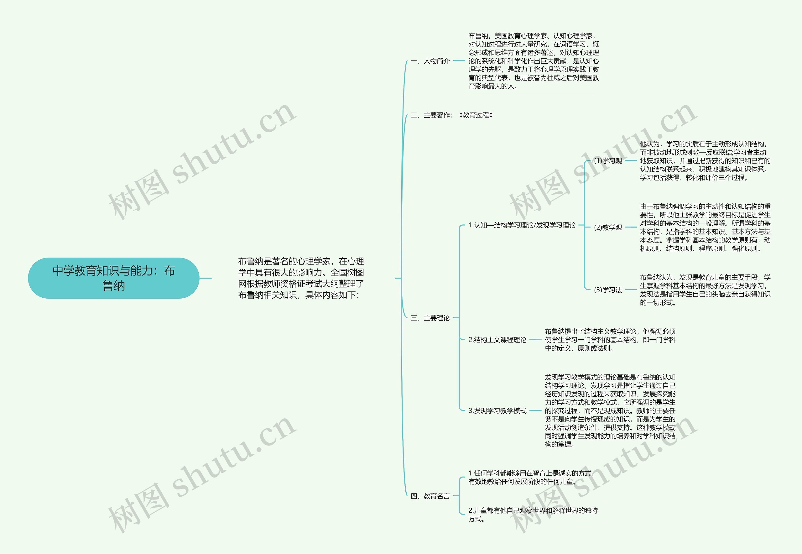 中学教育知识与能力：布鲁纳思维导图