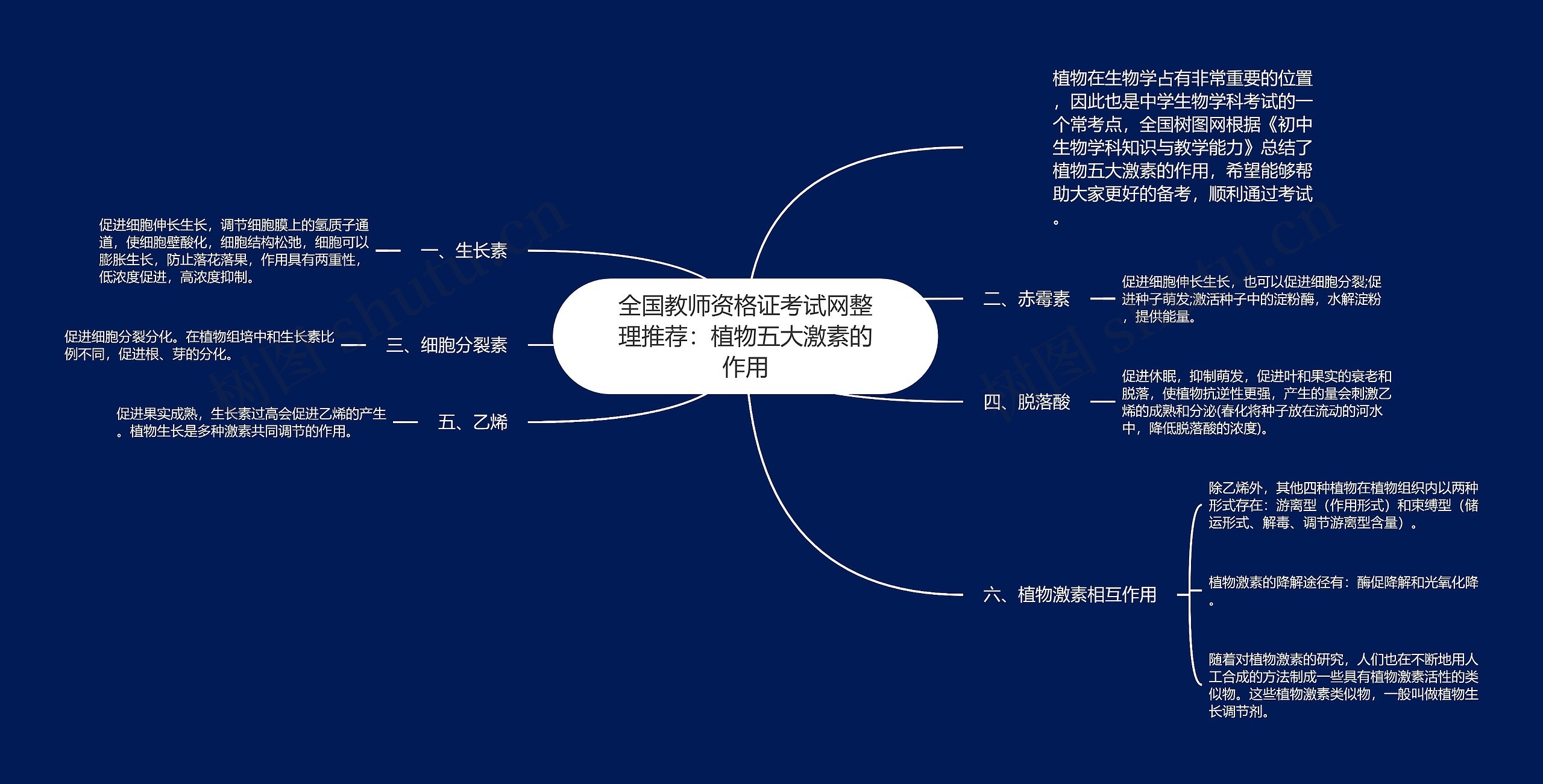 全国教师资格证考试网整理推荐：植物五大激素的作用思维导图