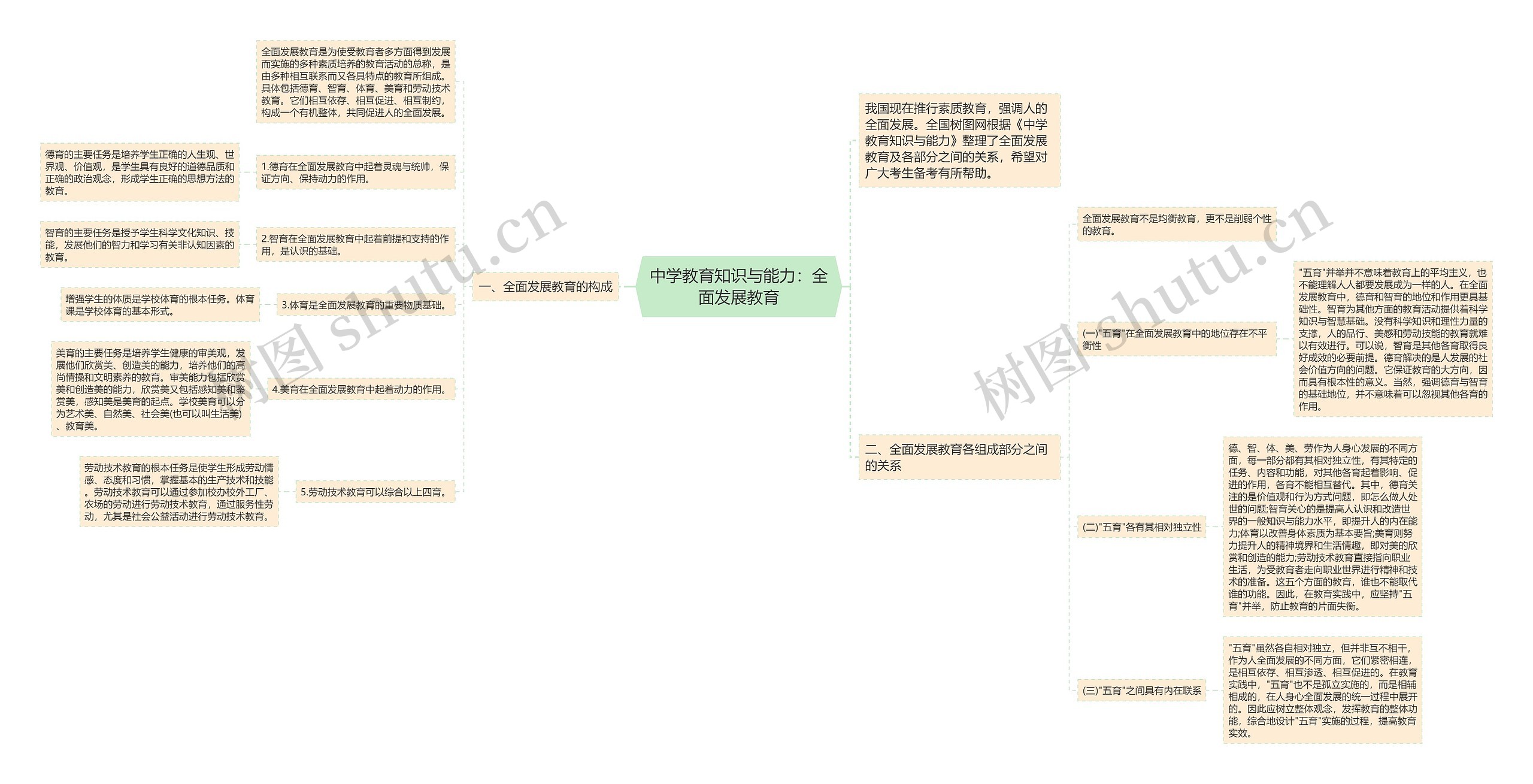 中学教育知识与能力：全面发展教育思维导图