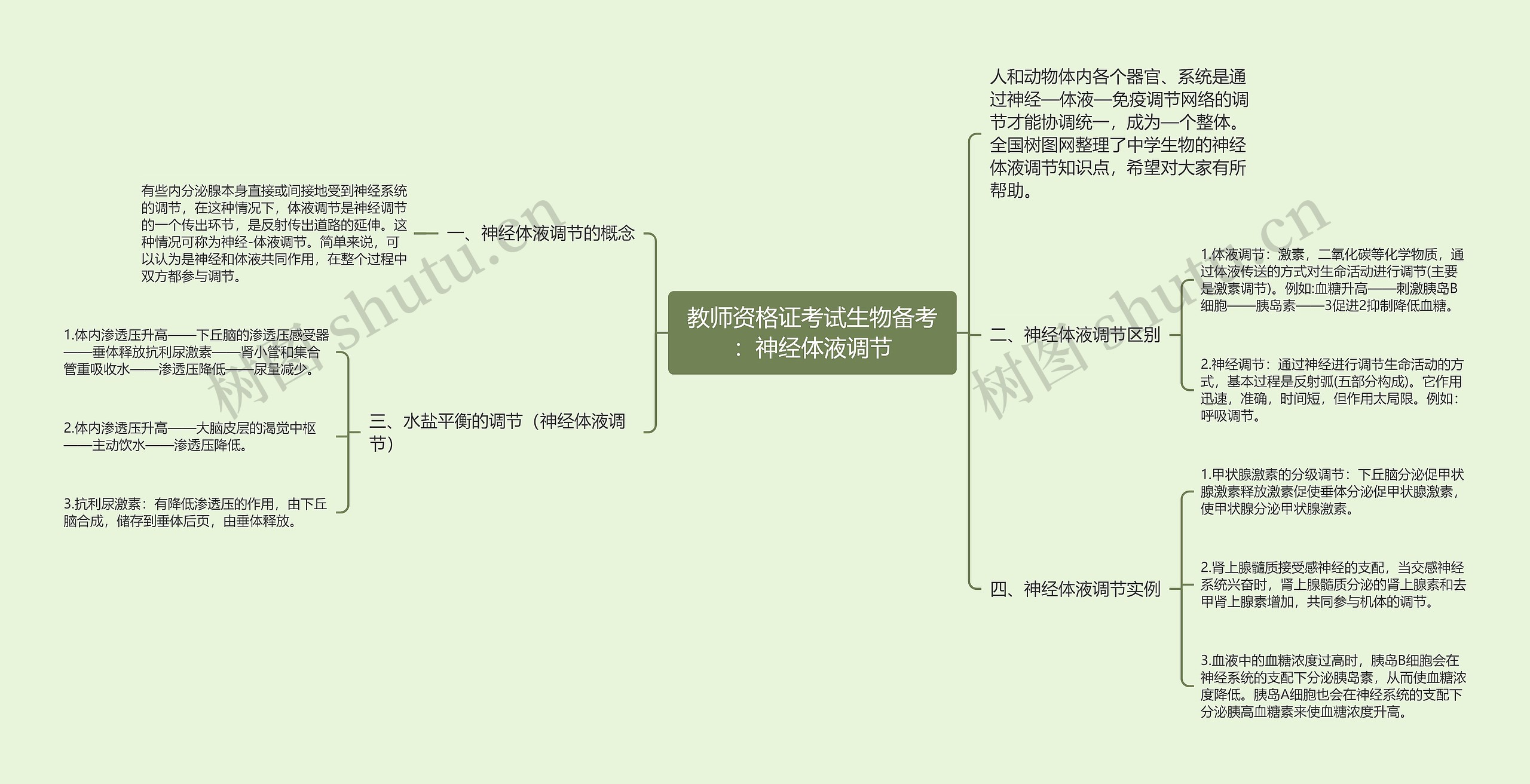 教师资格证考试生物备考：神经体液调节
