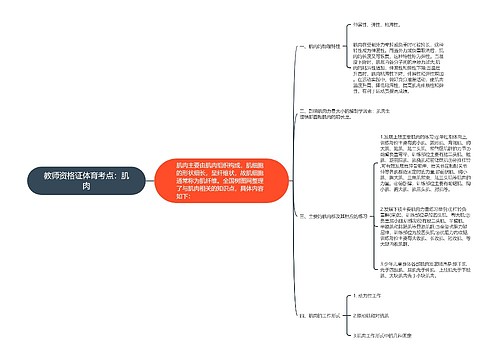 教师资格证体育考点：肌肉