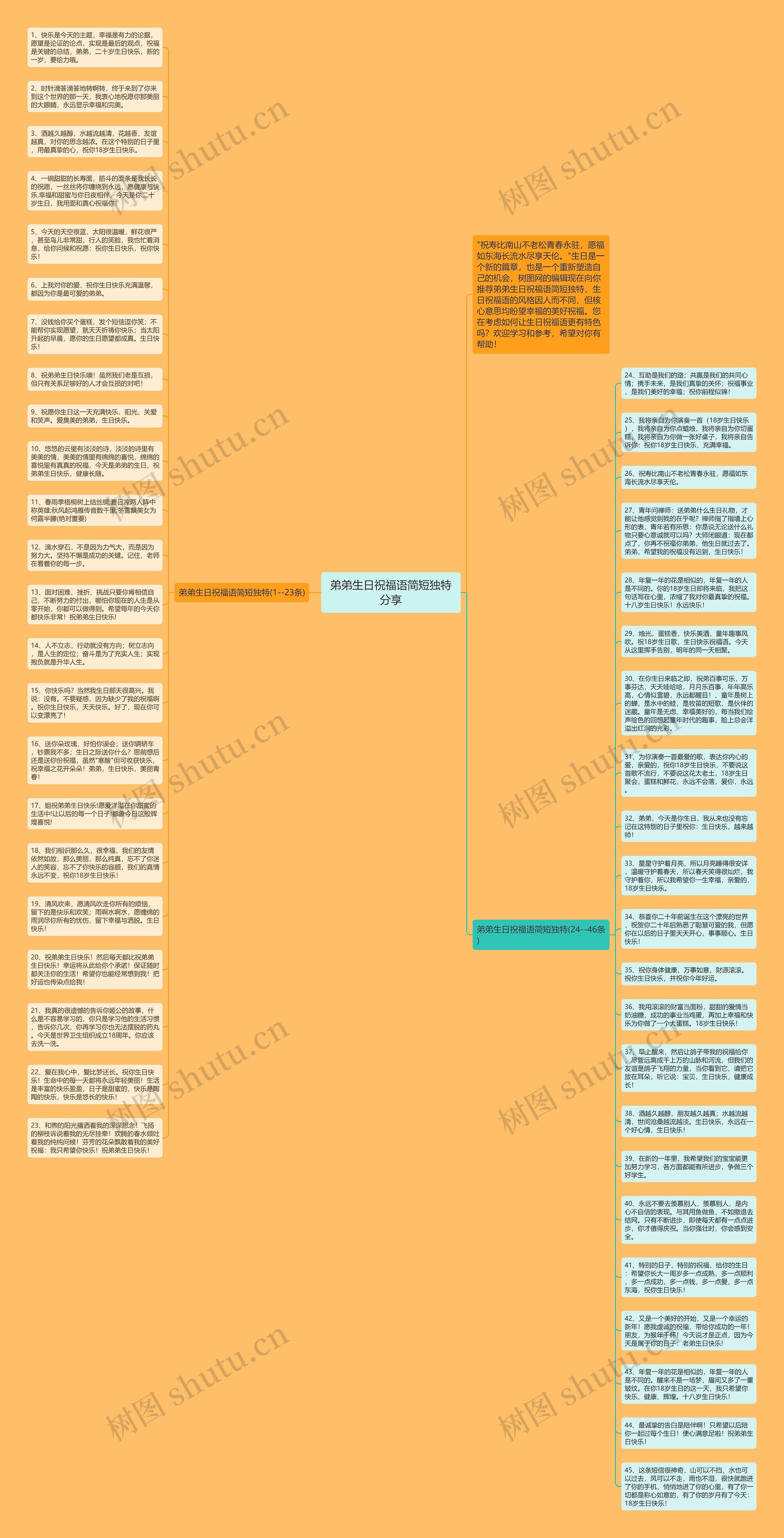 弟弟生日祝福语简短独特分享思维导图