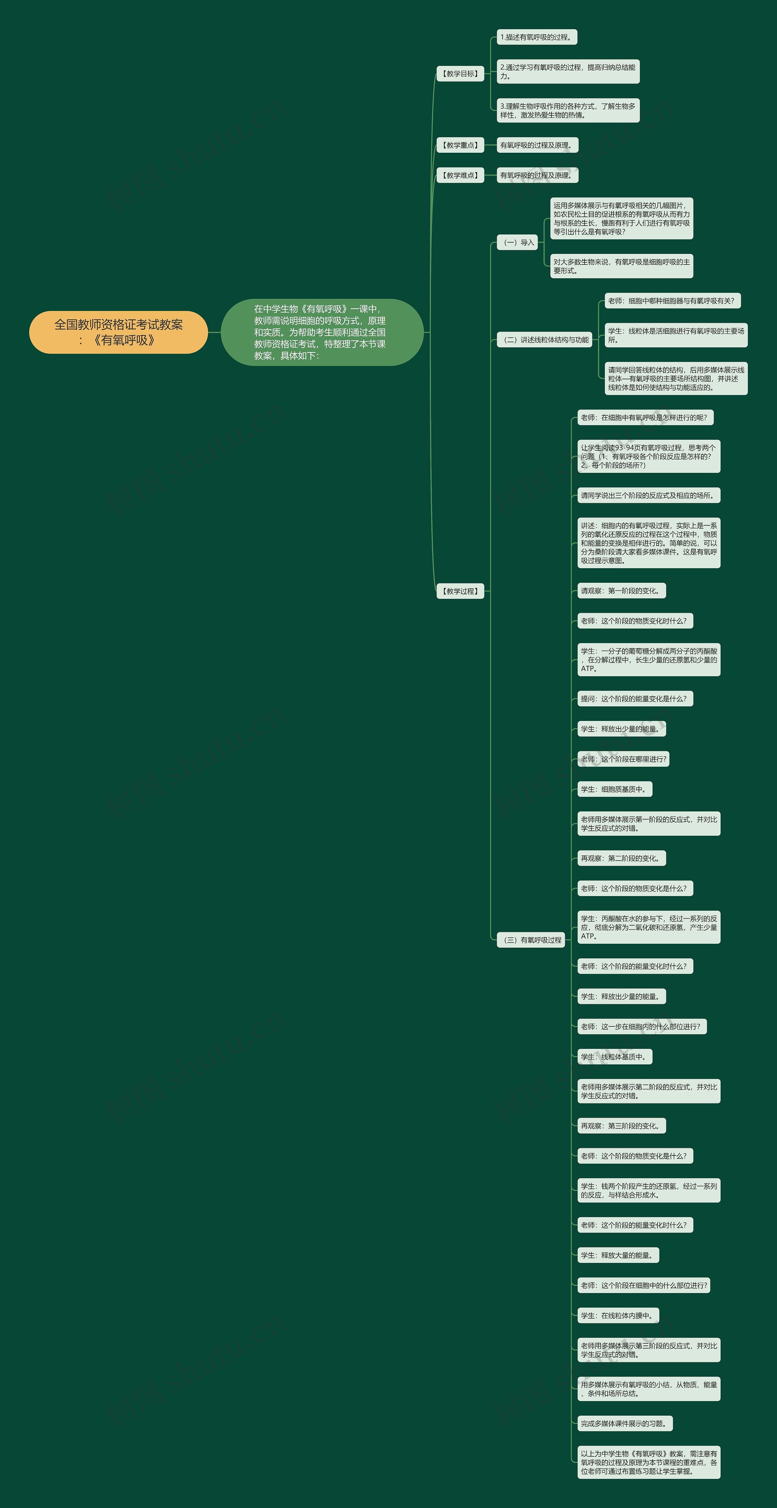 全国教师资格证考试教案：《有氧呼吸》思维导图