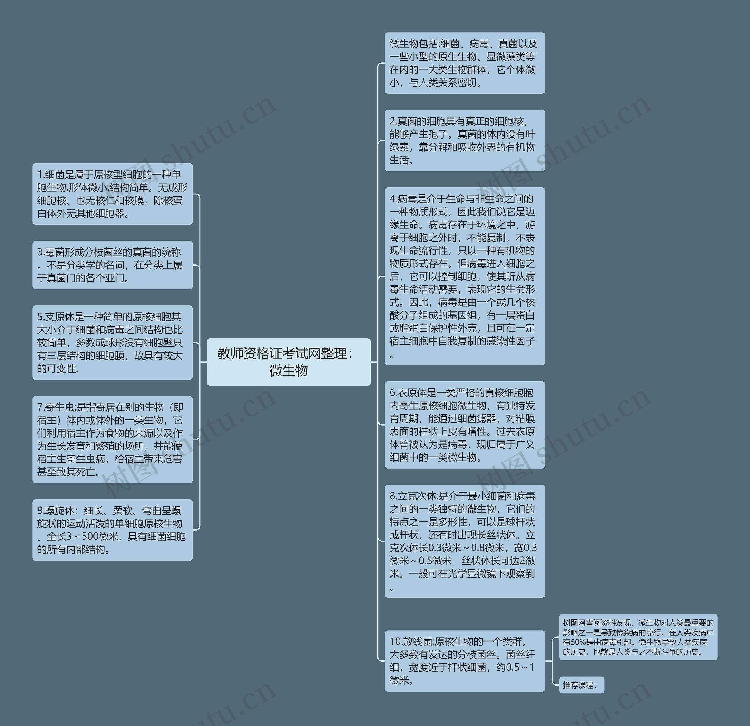 教师资格证考试网整理：微生物思维导图