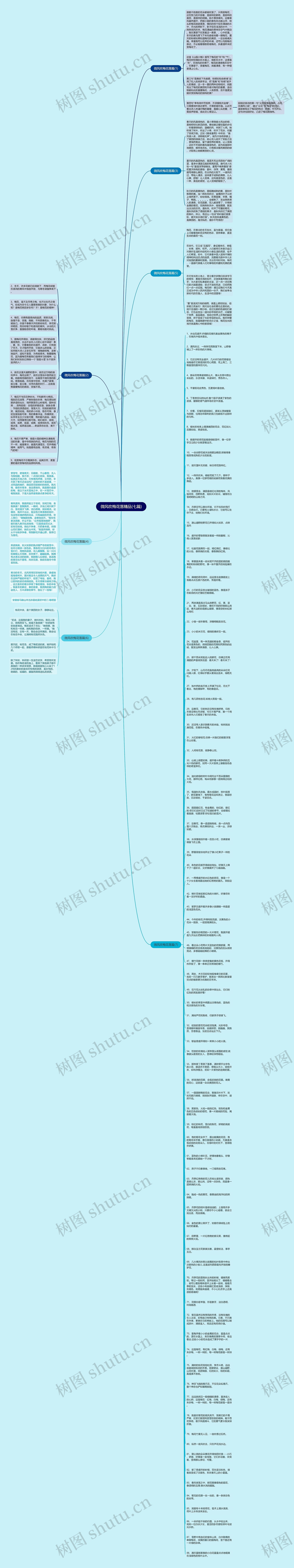 微风吹梅花落精品(七篇)思维导图