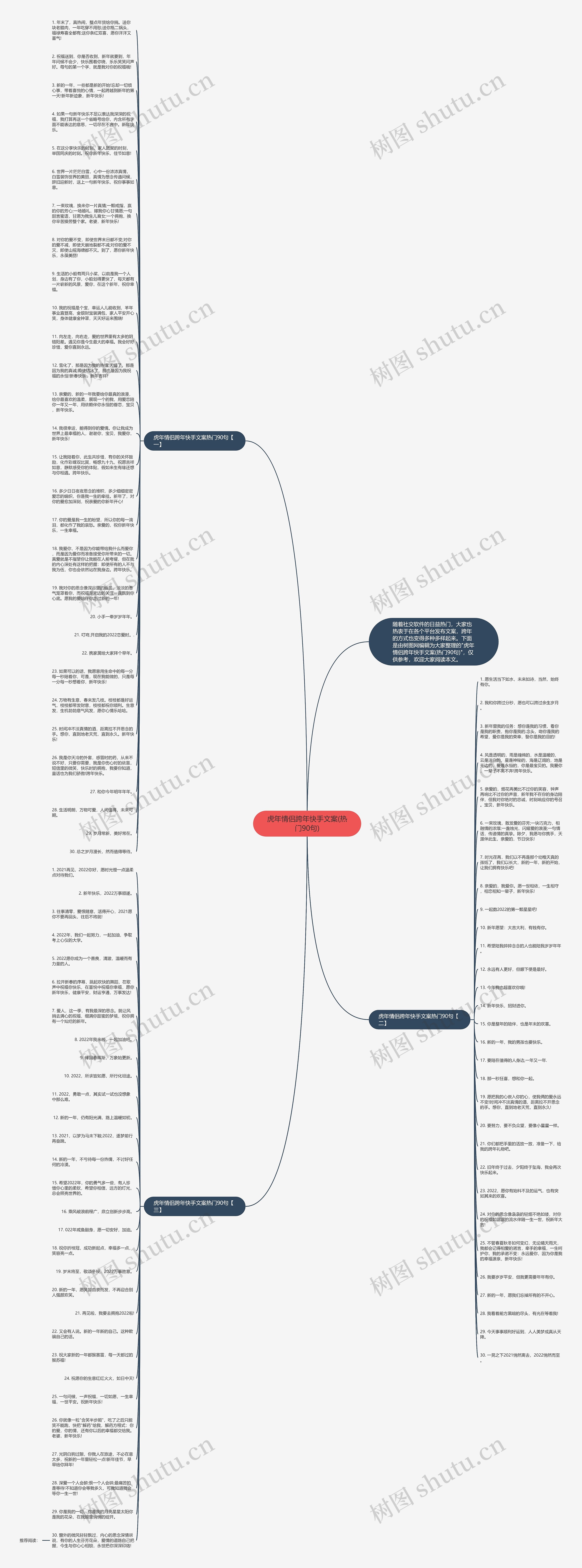 虎年情侣跨年快手文案(热门90句)思维导图