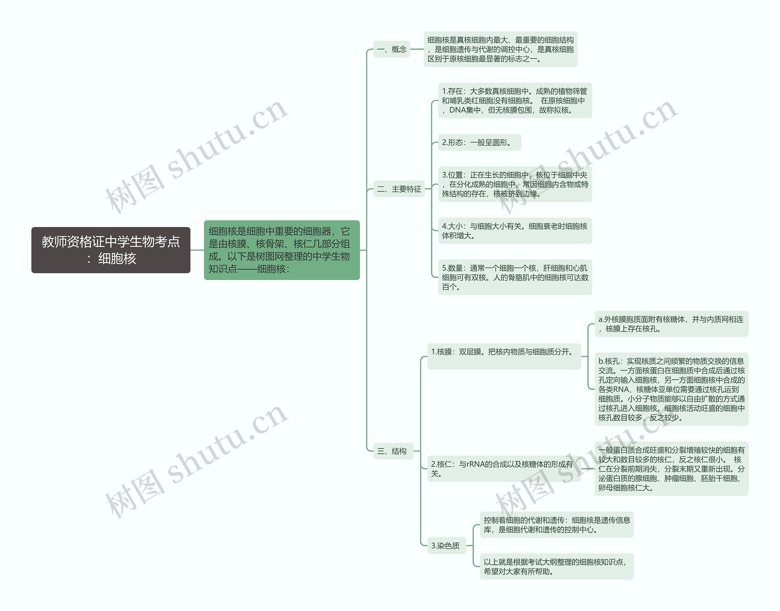 教师资格证中学生物考点：细胞核思维导图
