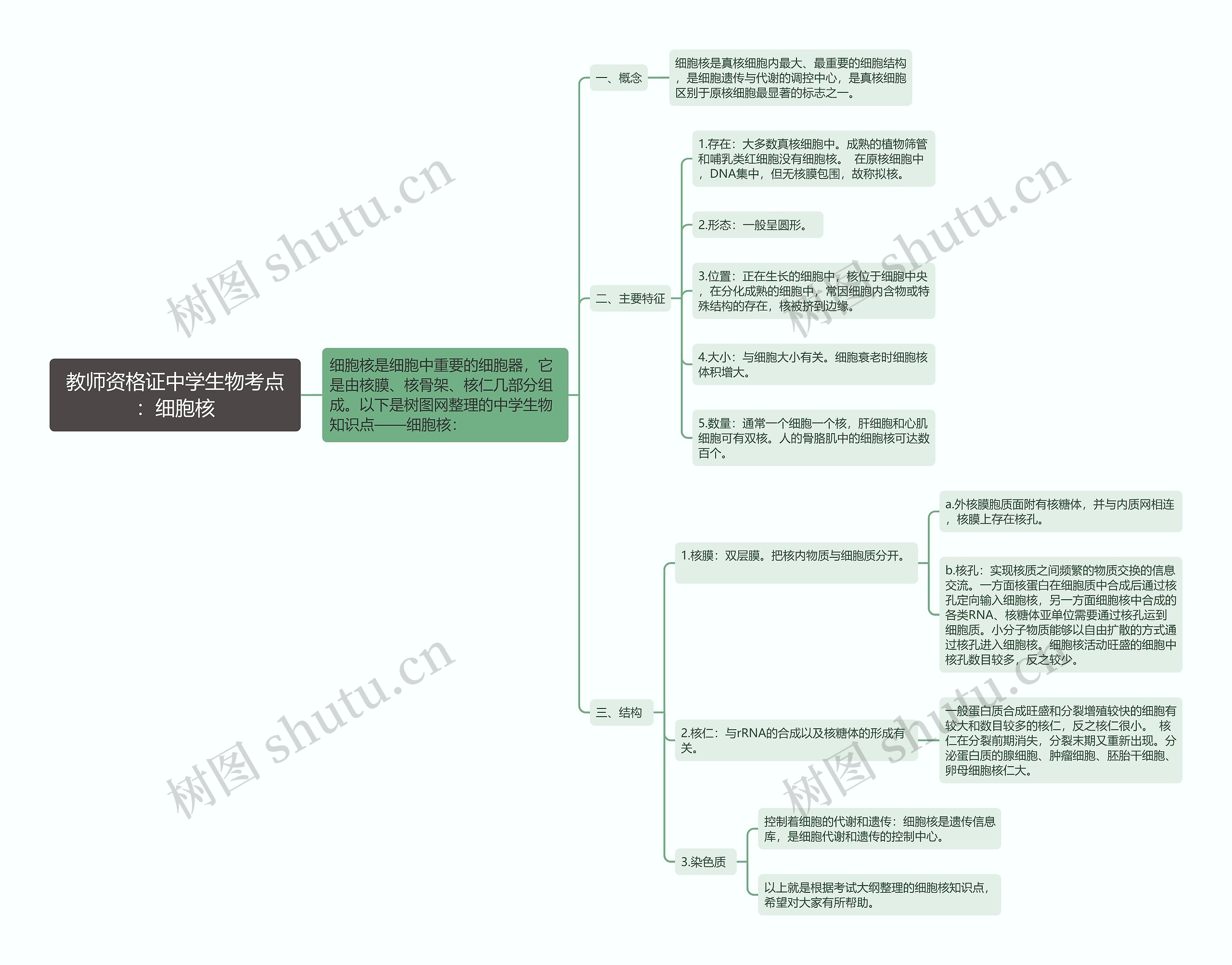 教师资格证中学生物考点:细胞核思维导图高清图 教师资格证中学生物考点:细胞核思维导图