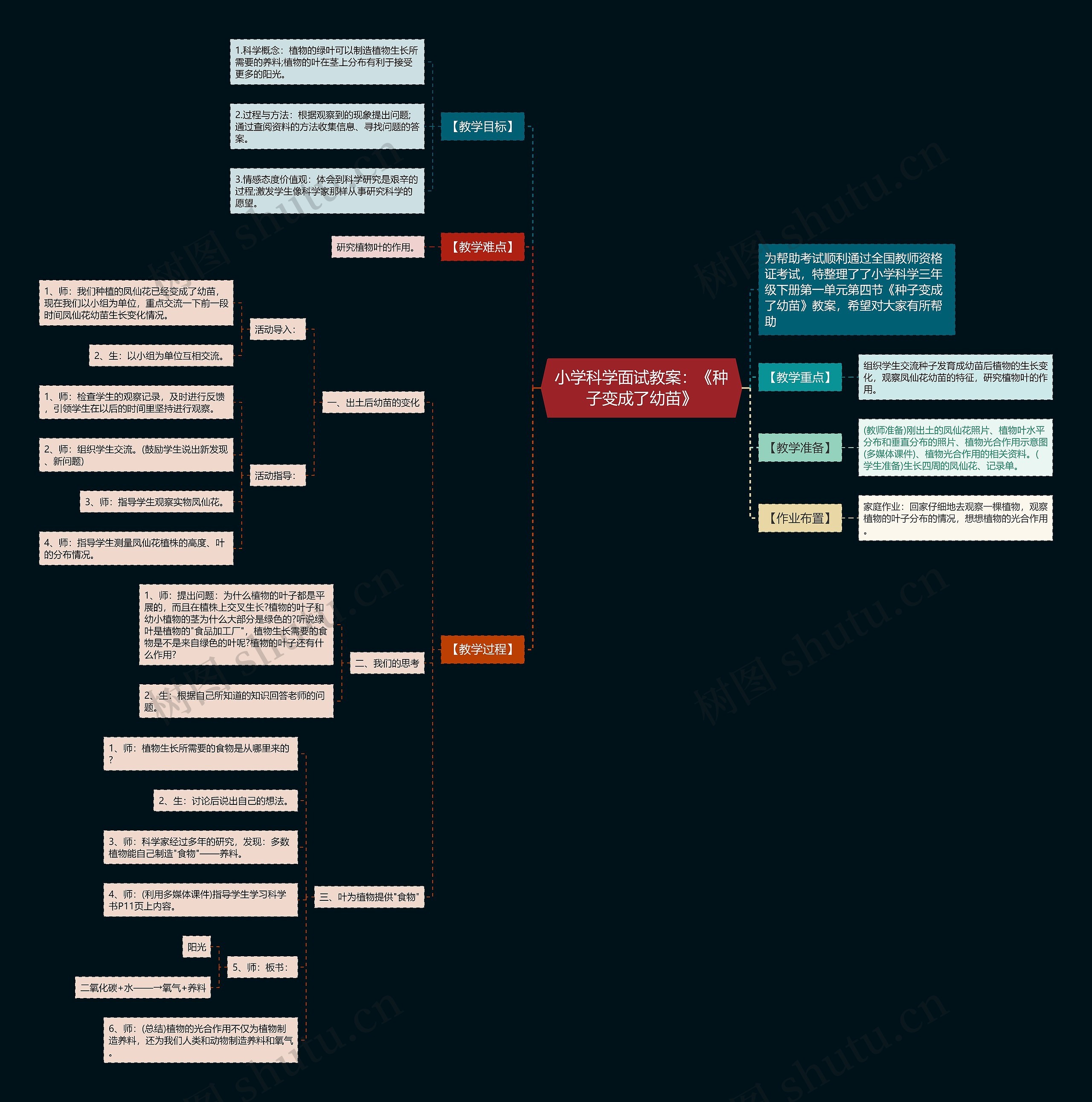小学科学面试教案：《种子变成了幼苗》思维导图