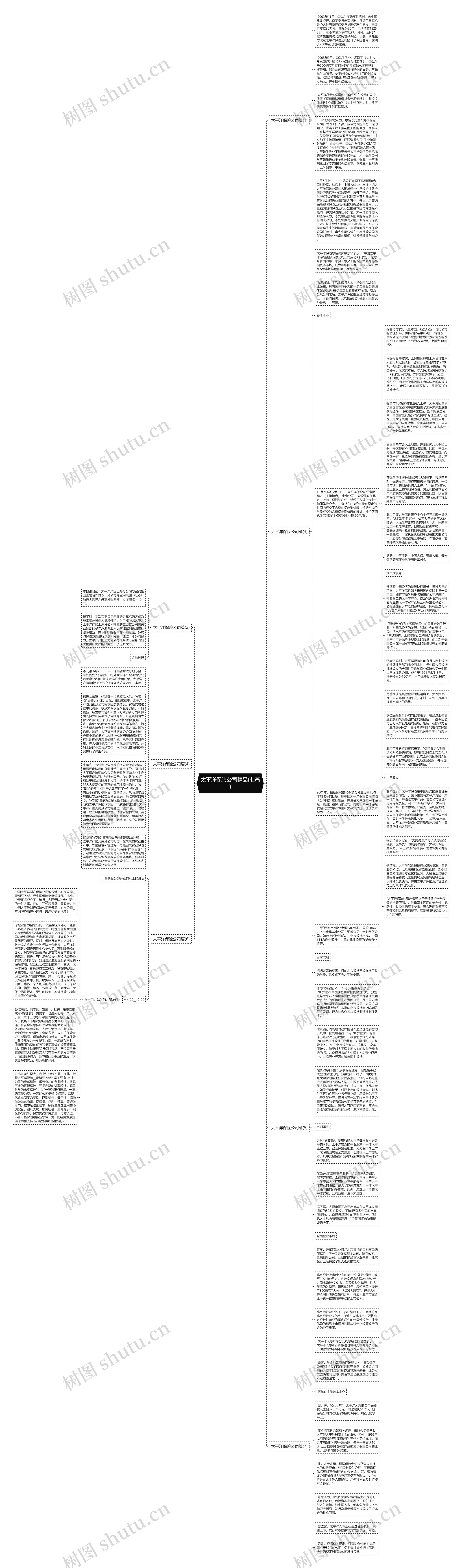 太平洋保险公司精品(七篇)思维导图