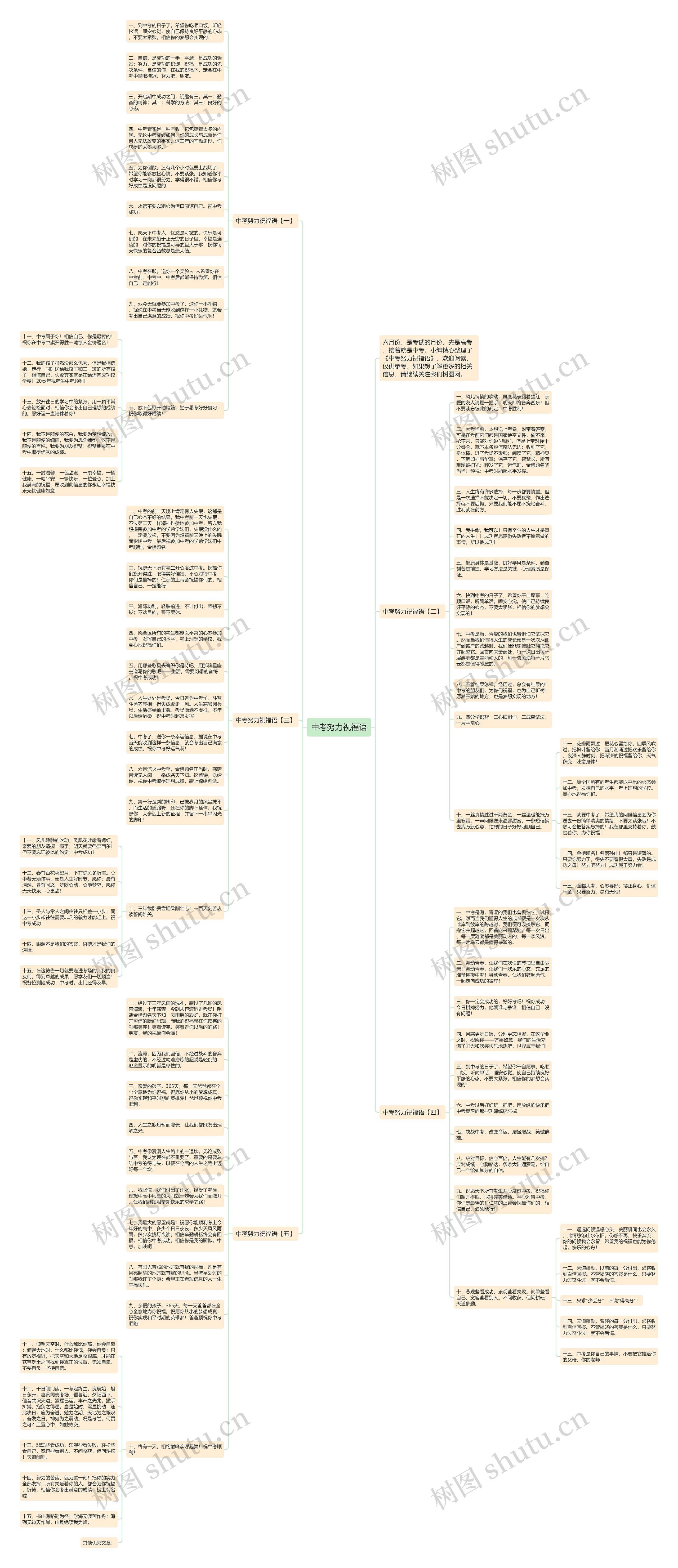 中考努力祝福语思维导图