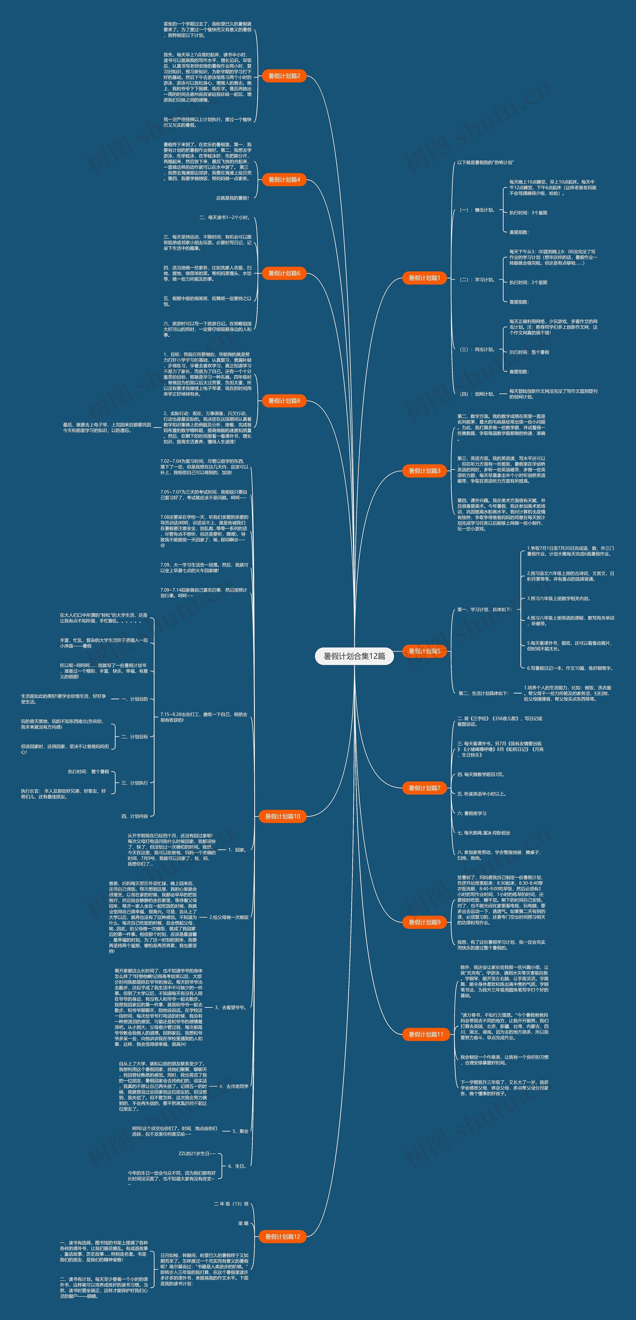 暑假计划合集12篇