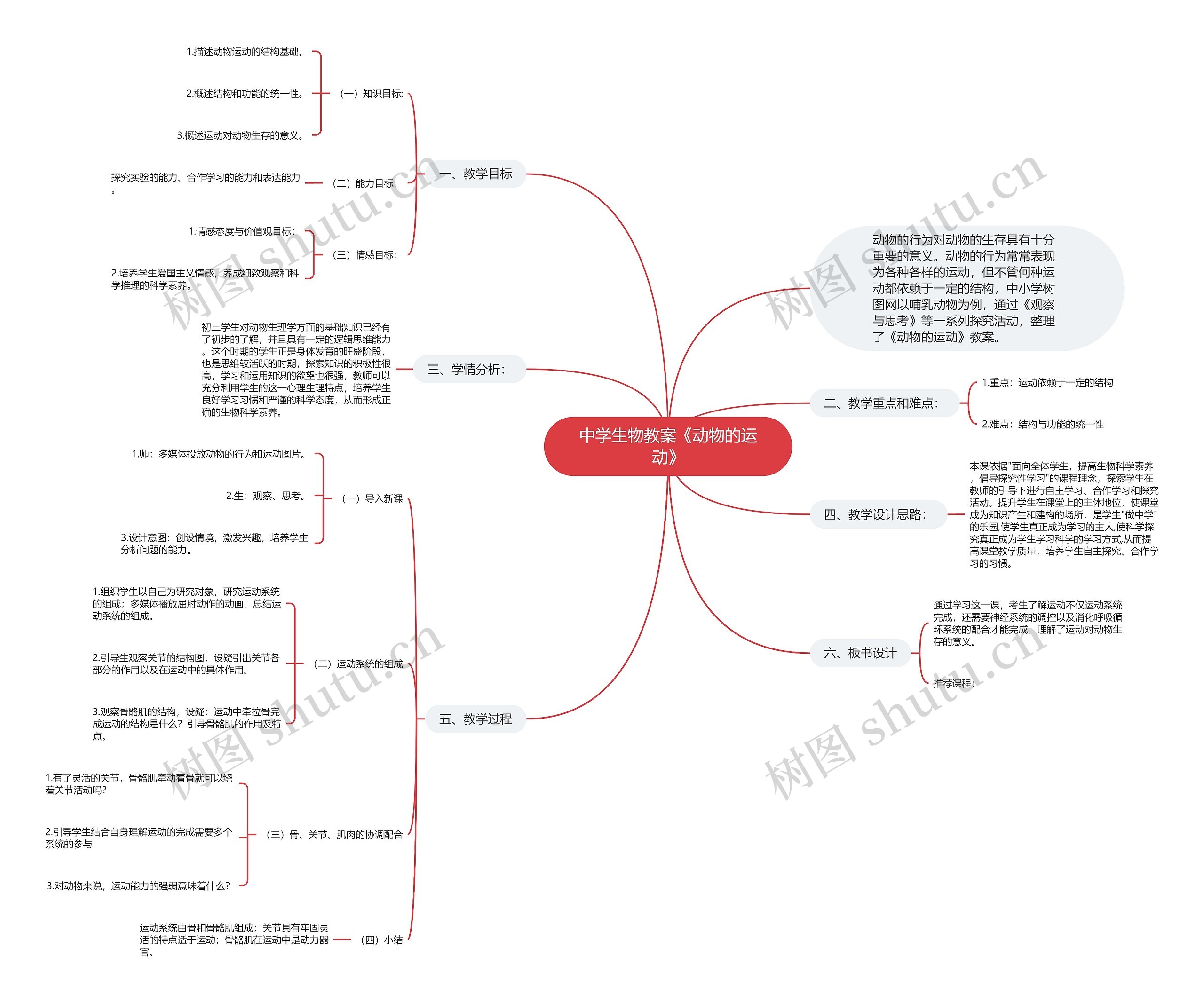 中学生物教案《动物的运动》思维导图
