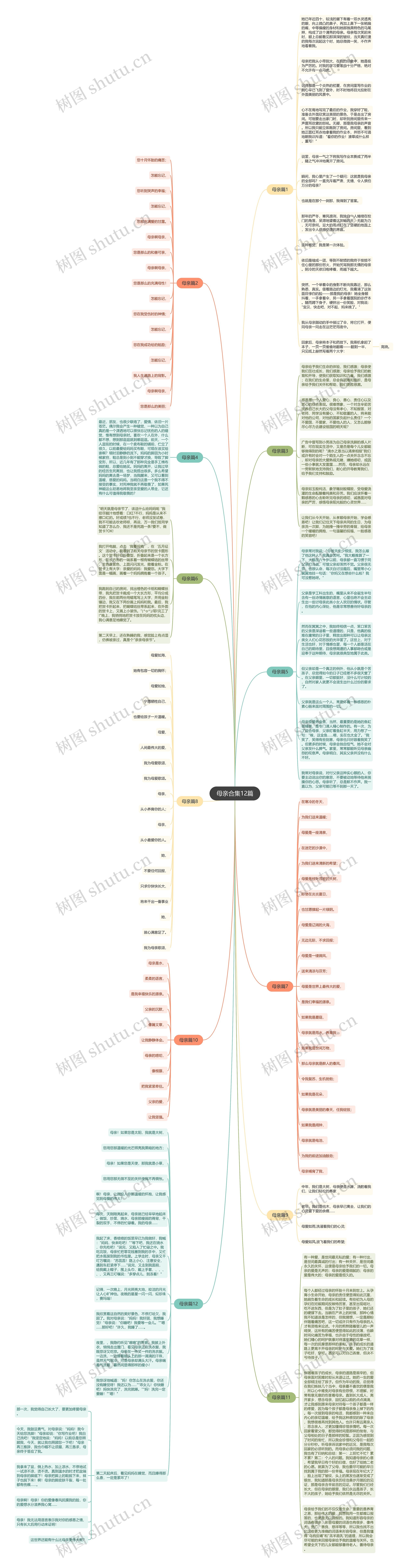 母亲合集12篇思维导图