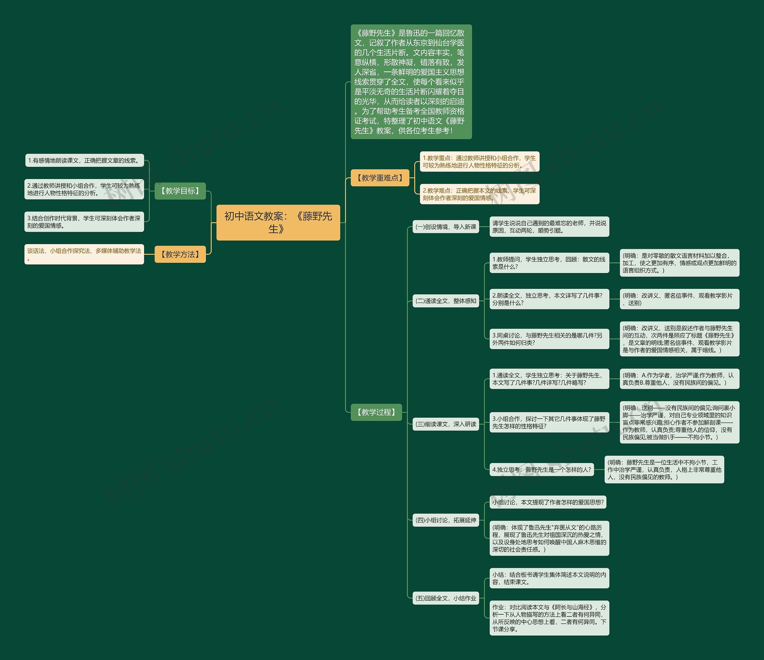 初中语文教案：《藤野先生》思维导图