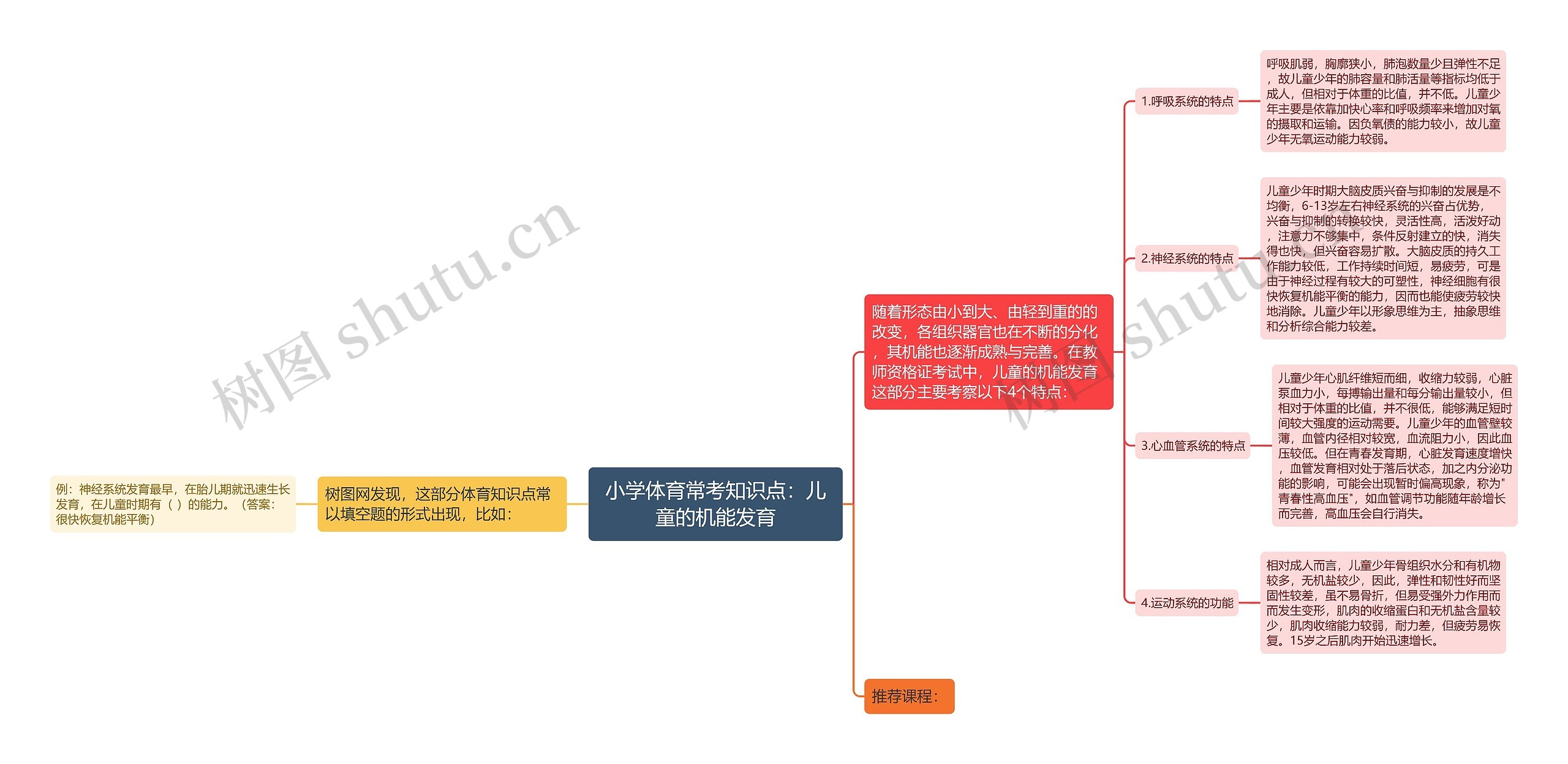 小学体育常考知识点：儿童的机能发育思维导图