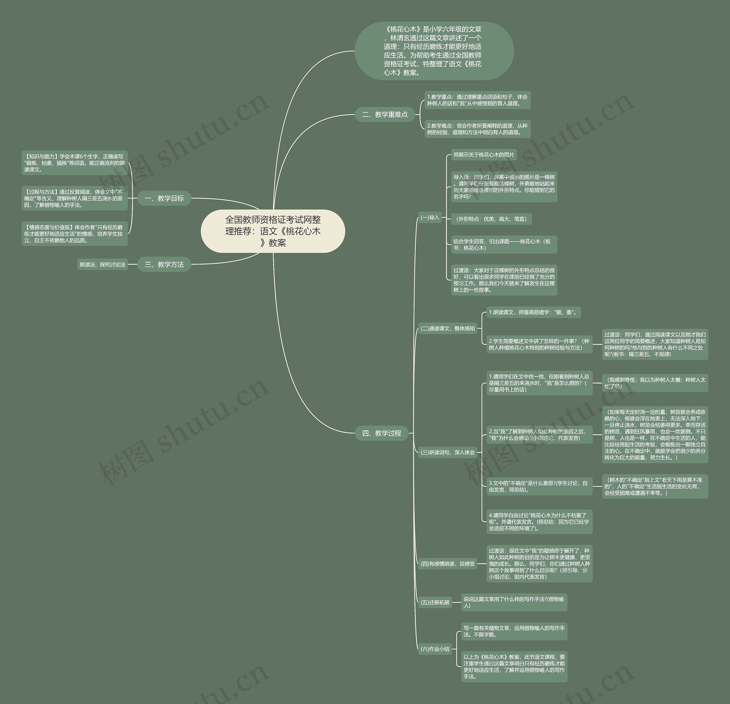 全国教师资格证考试网整理推荐：语文《桃花心木》教案思维导图