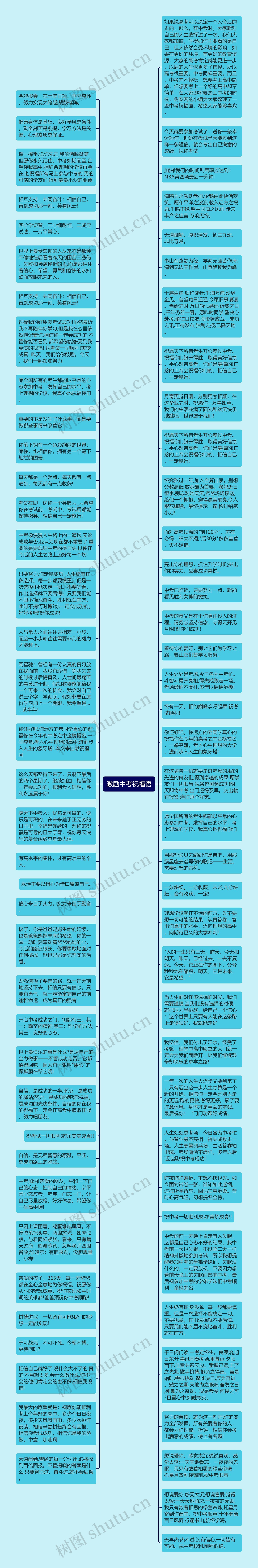 激励中考祝福语思维导图