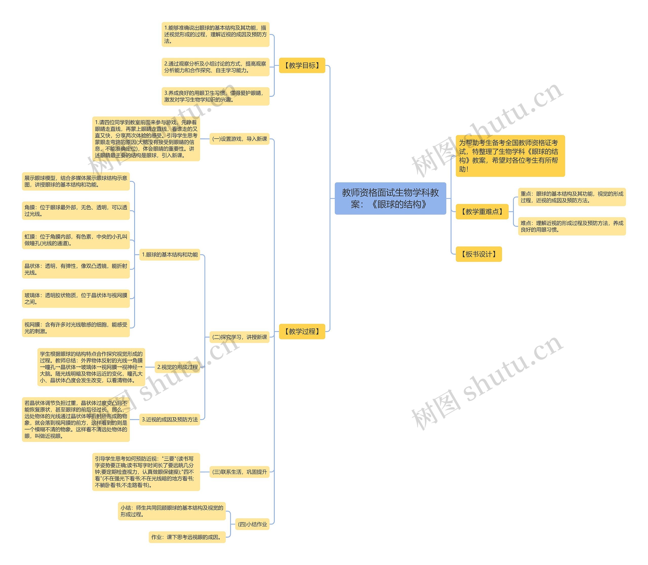 教师资格面试生物学科教案：《眼球的结构》思维导图