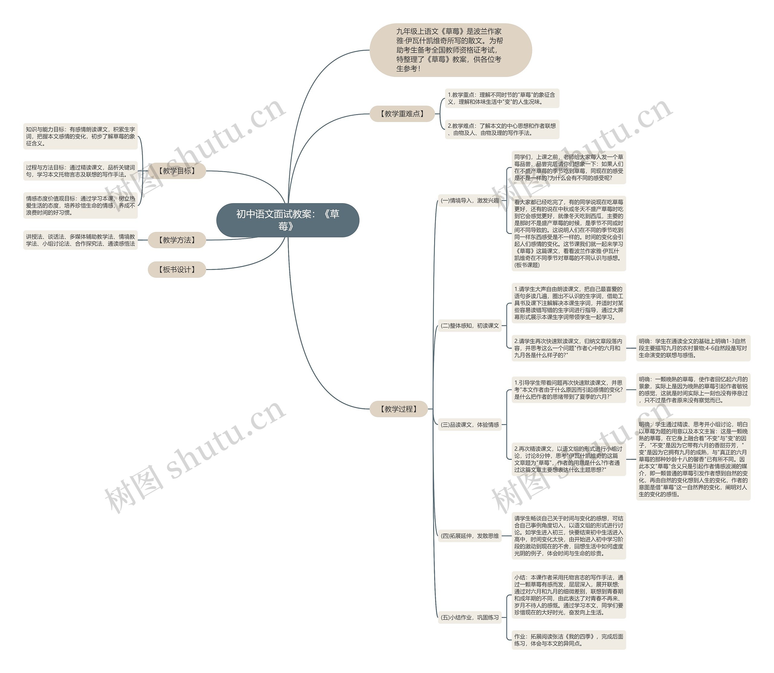 初中语文面试教案：《草莓》思维导图