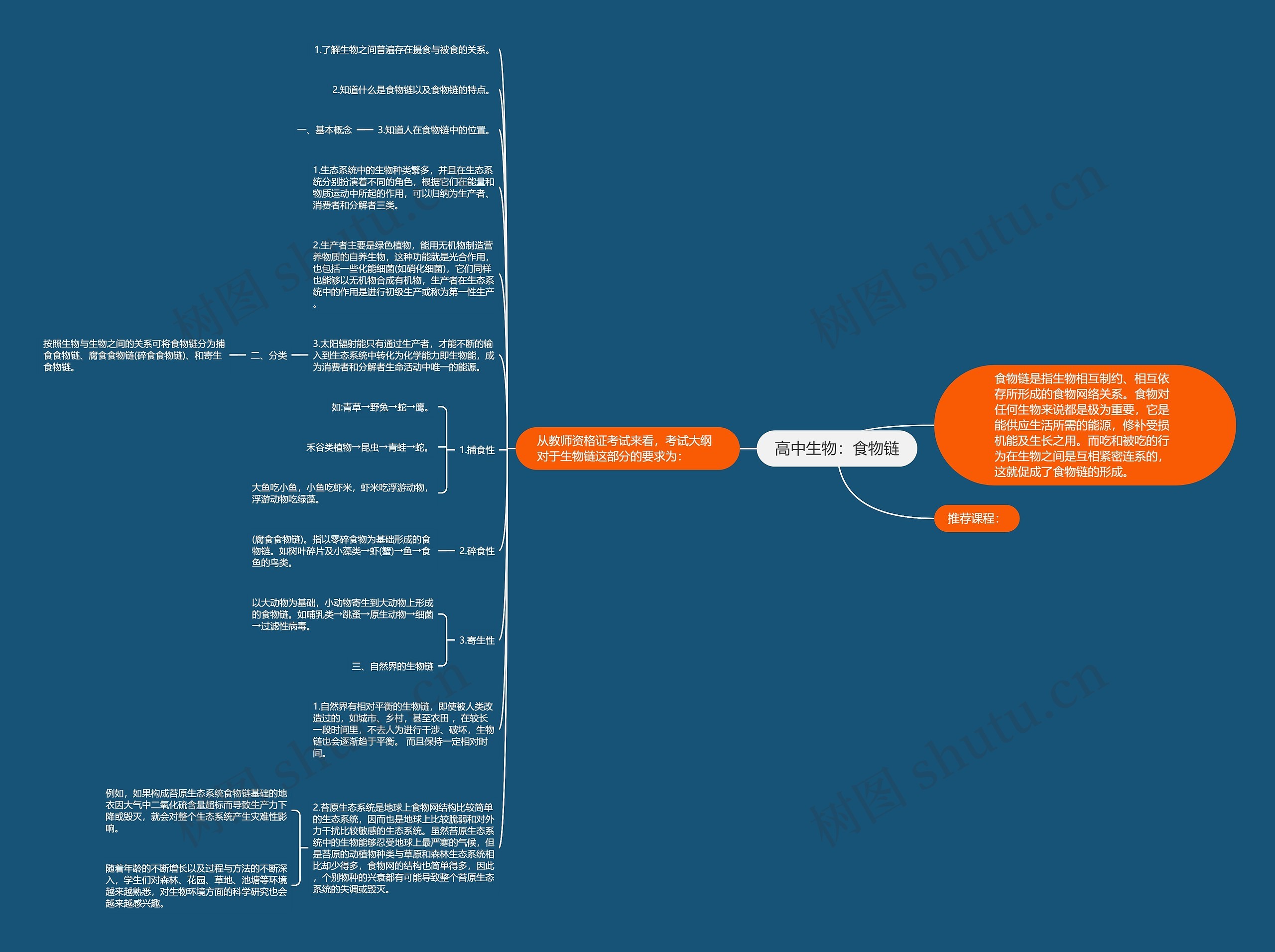 高中生物：食物链思维导图