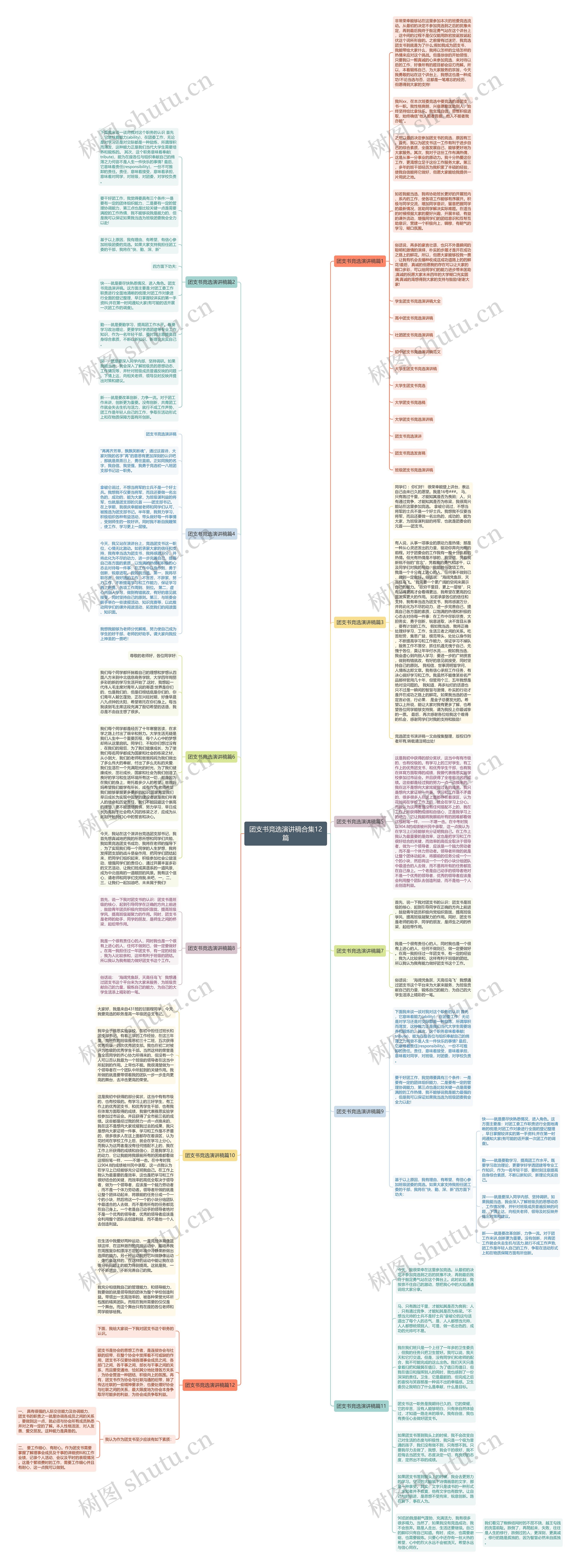 团支书竞选演讲稿合集12篇思维导图