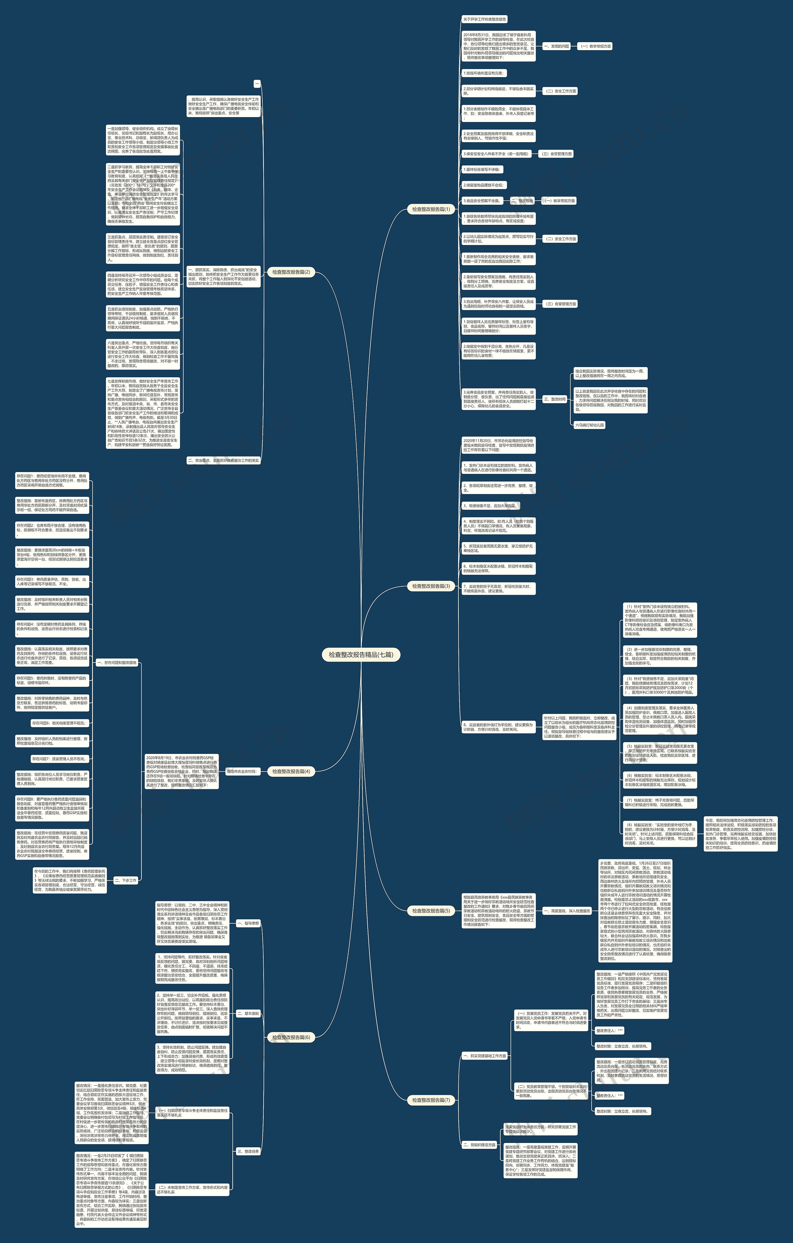 检查整改报告精品(七篇)思维导图