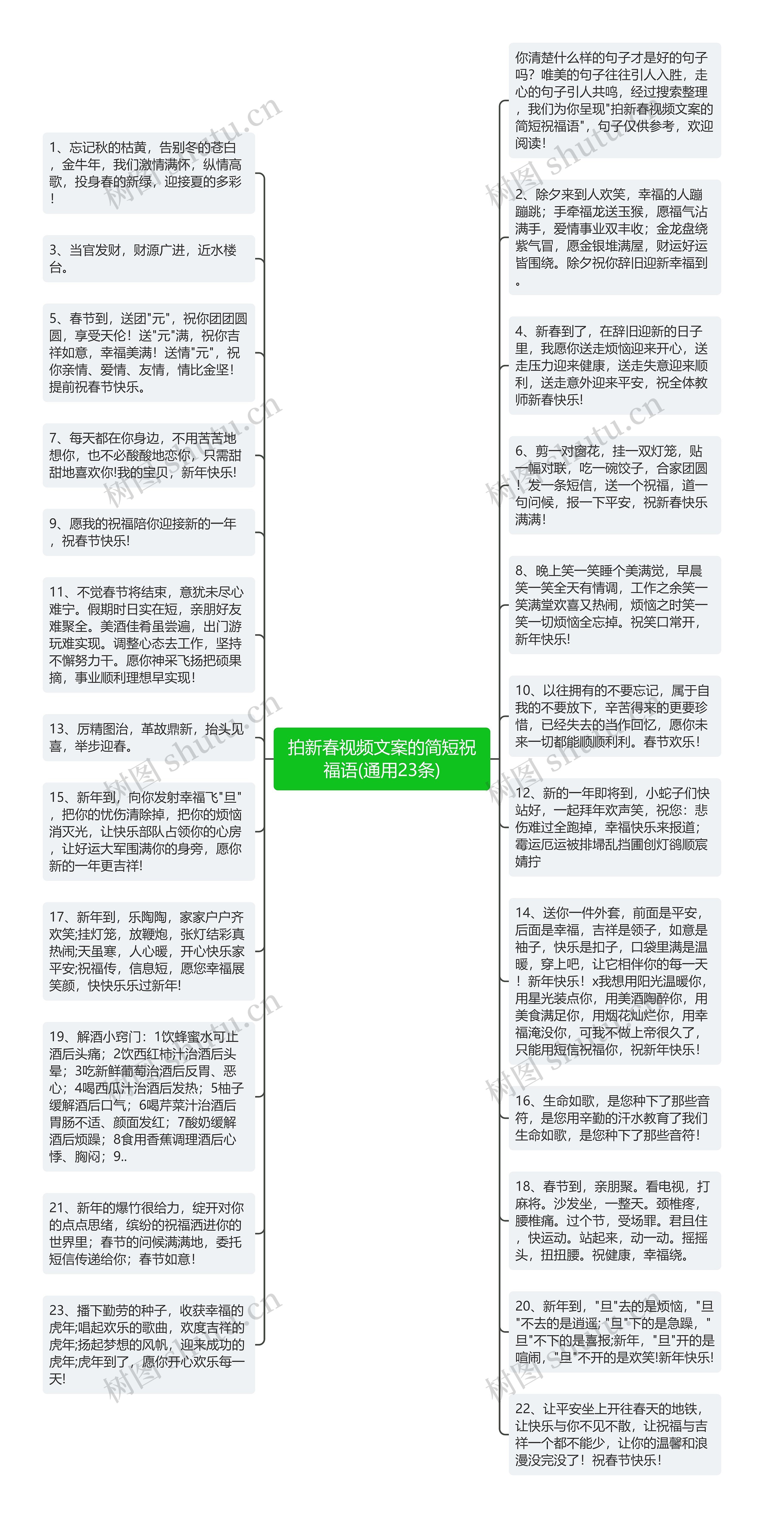 拍新春视频文案的简短祝福语(通用23条)思维导图