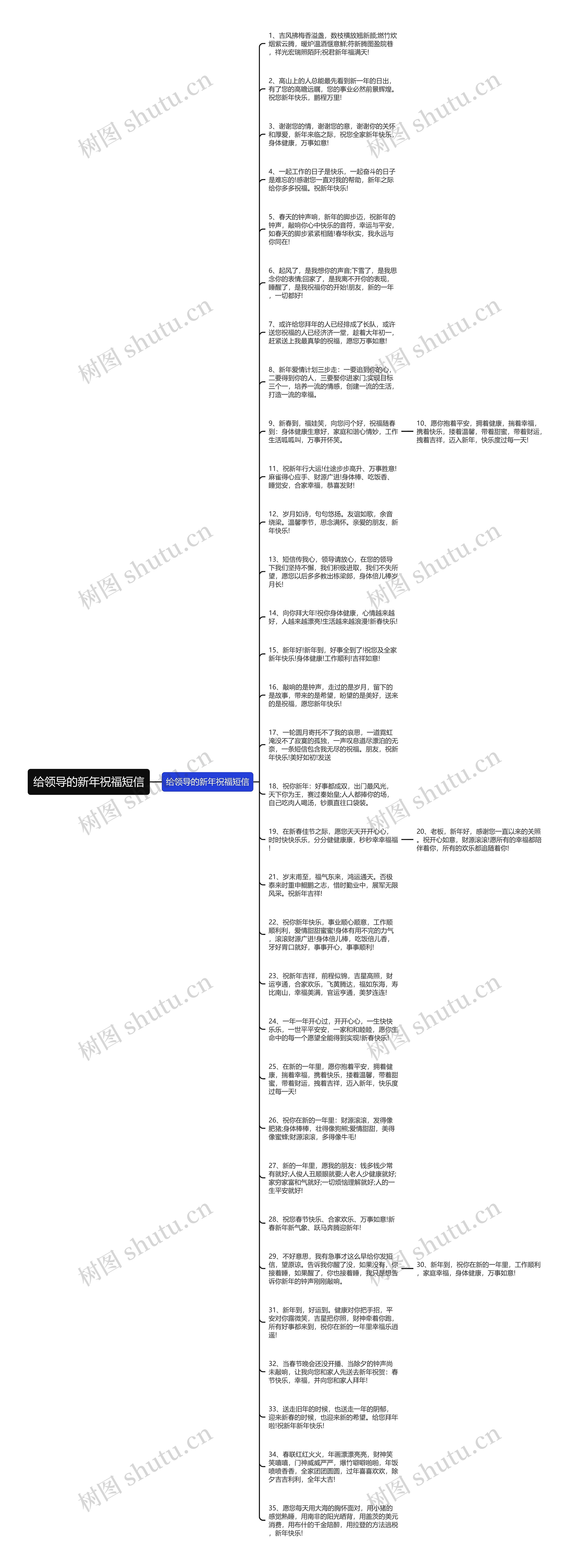 给领导的新年祝福短信思维导图