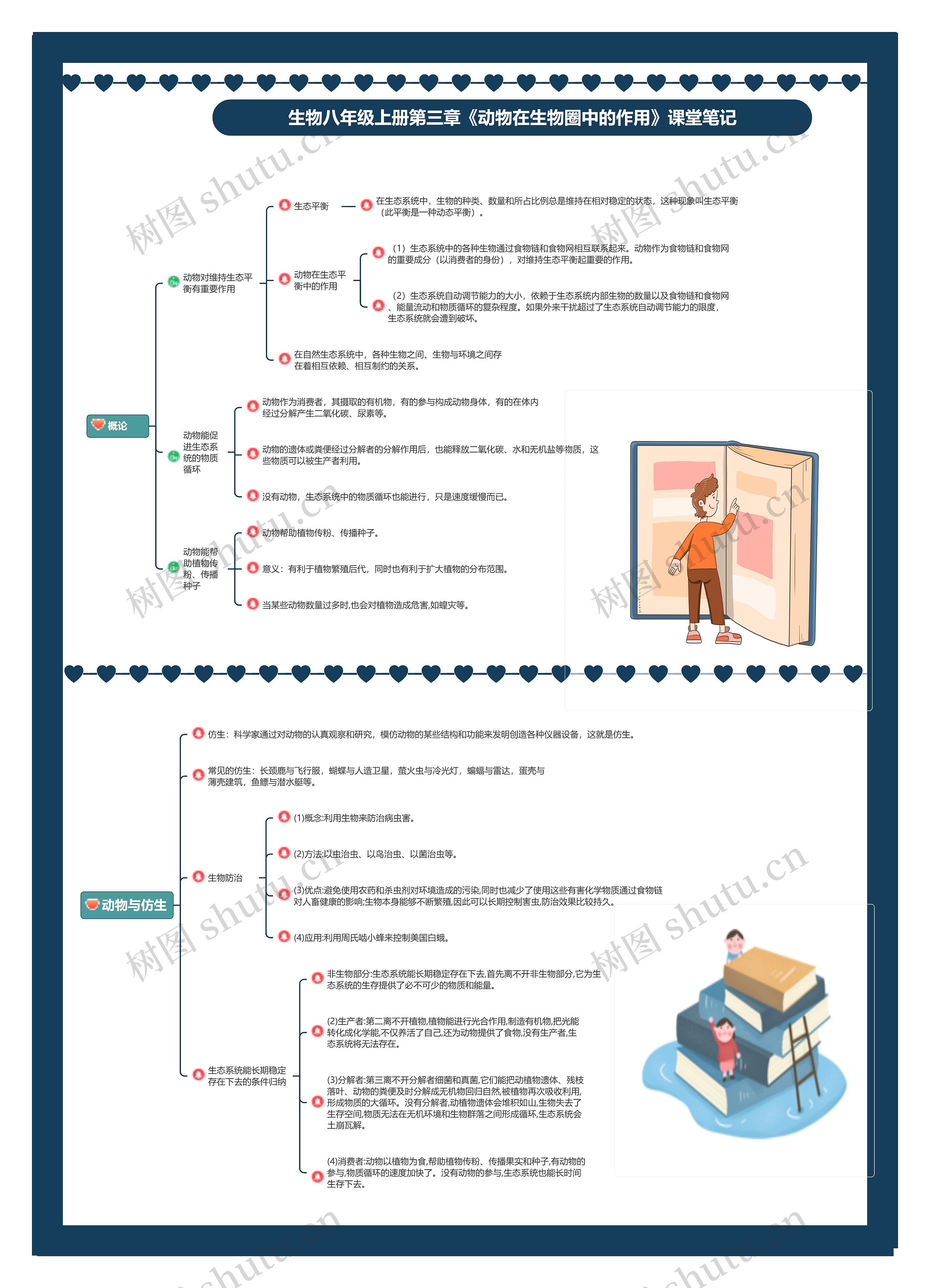 生物八年级上册第三章《动物在生物圈中的作用》课堂笔记思维导图