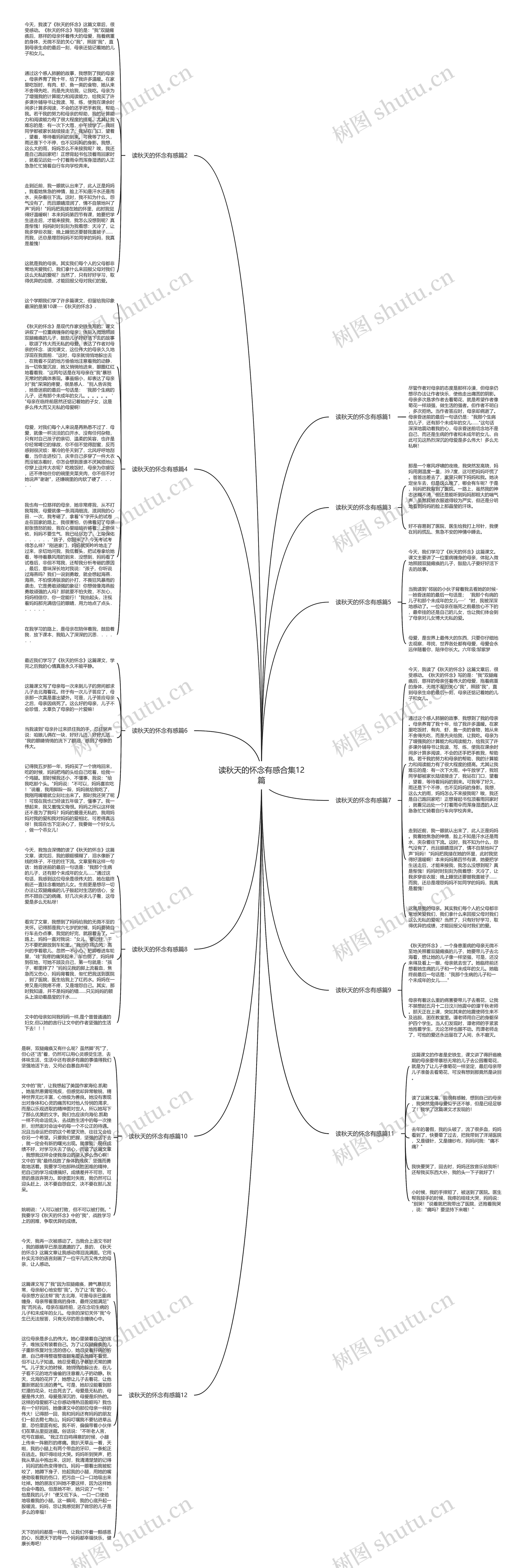 读秋天的怀念有感合集12篇思维导图