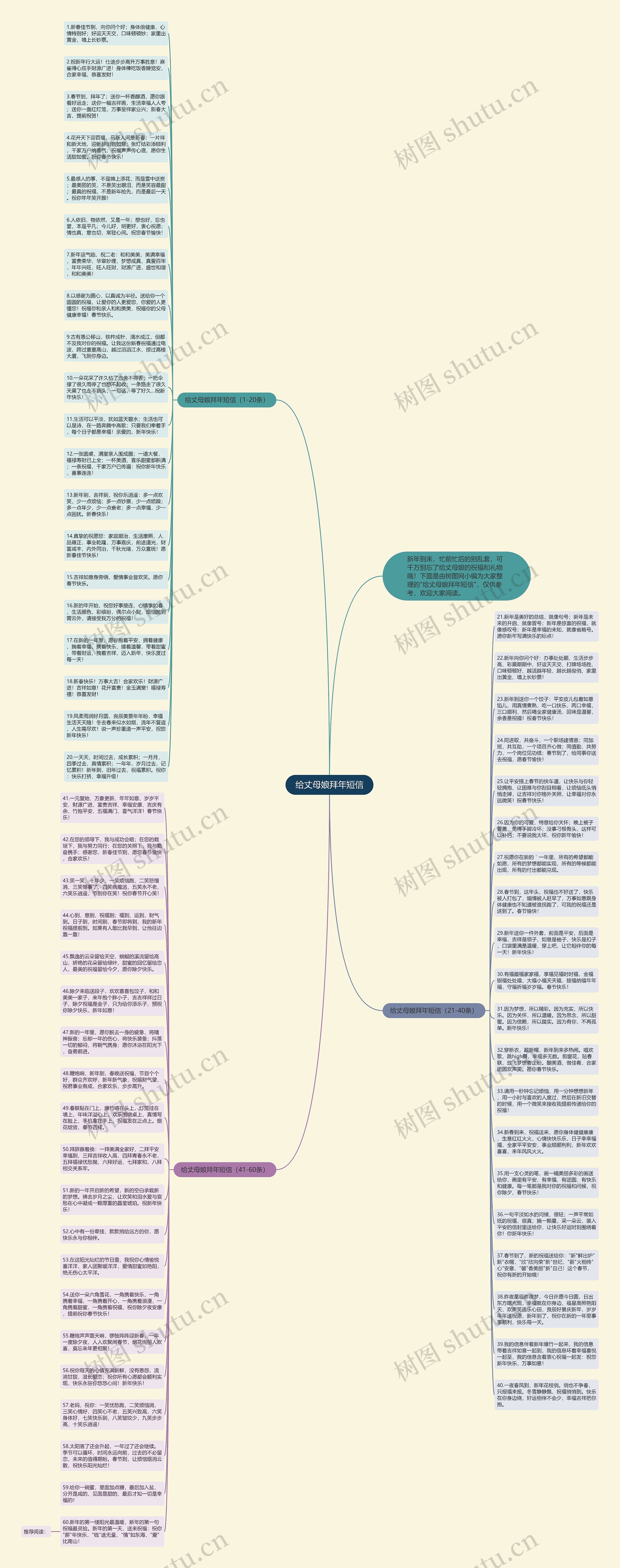 给丈母娘拜年短信思维导图