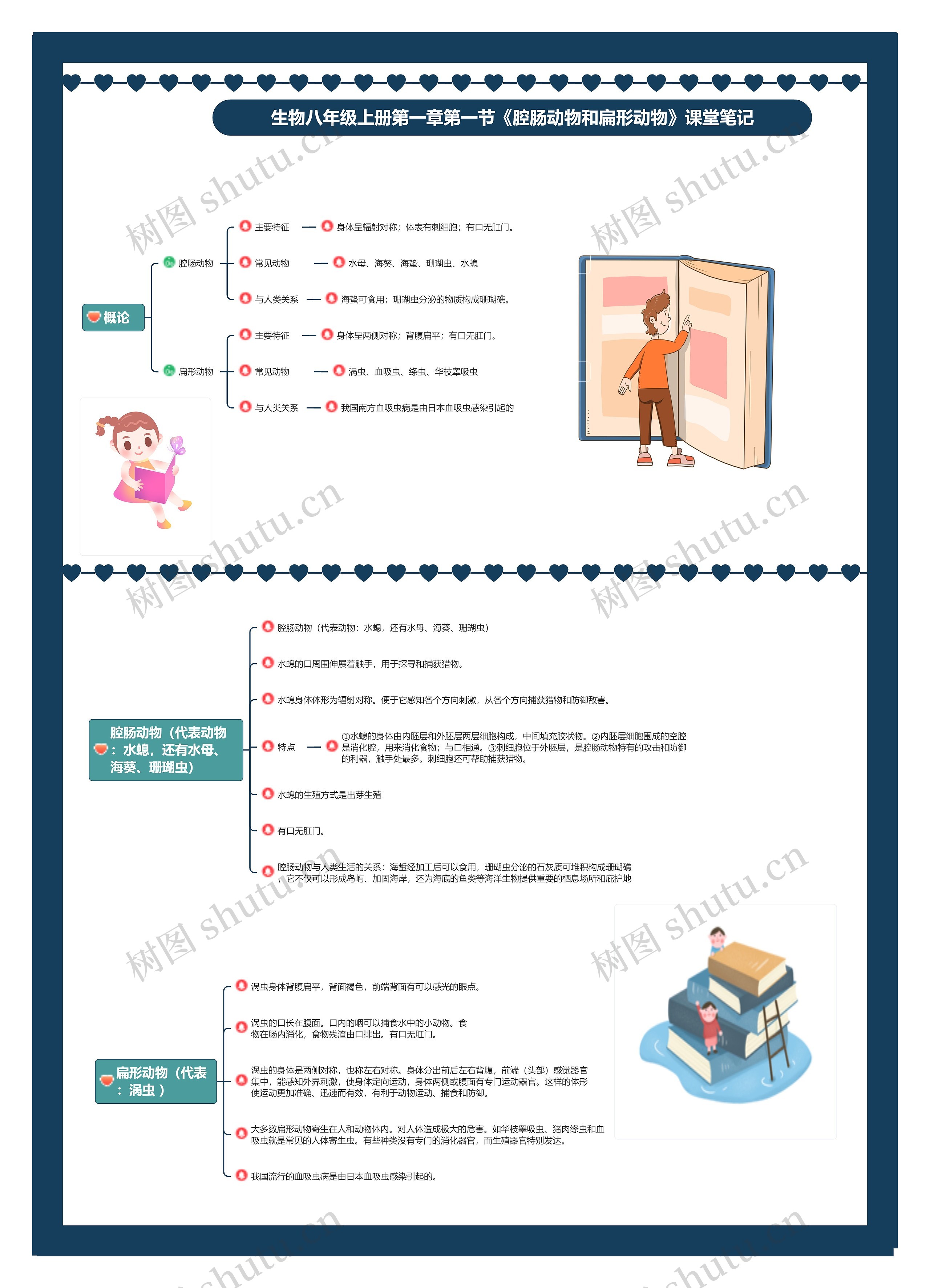 生物八年级上册第一章第一节《腔肠动物和扁形动物》课堂笔记思维导图