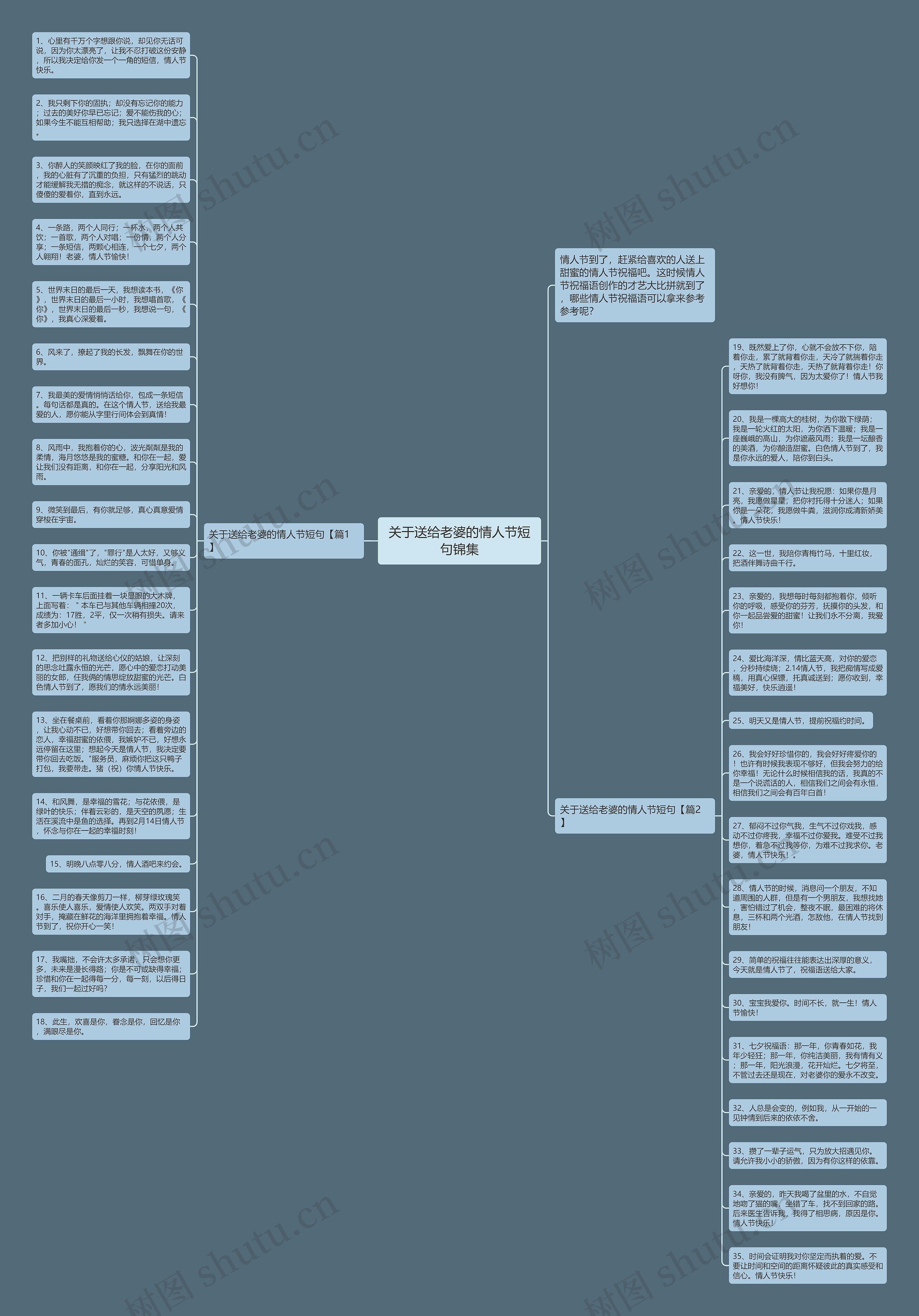 关于送给老婆的情人节短句锦集思维导图
