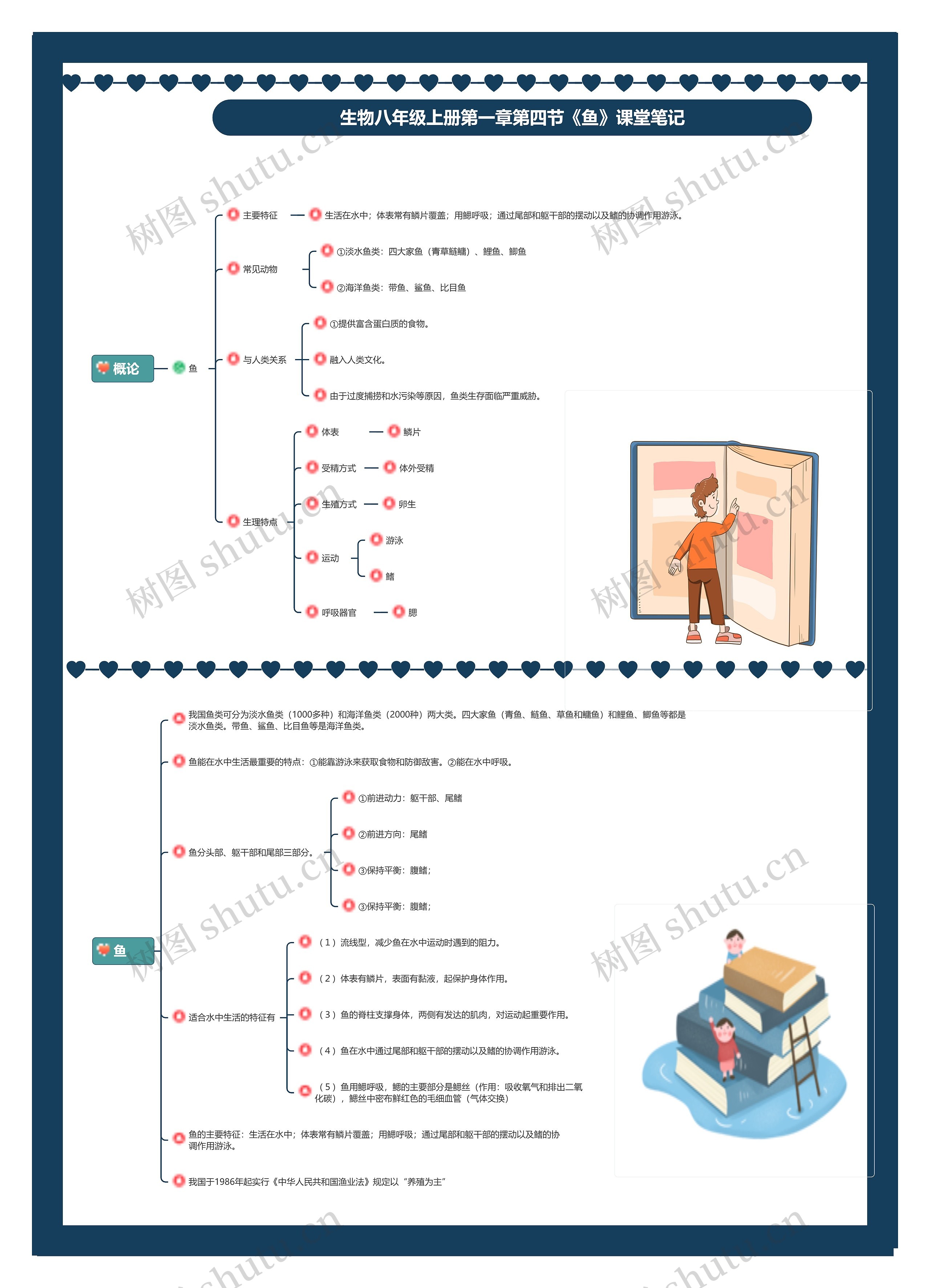 生物八年级上册第一章第四节《鱼》课堂笔记思维导图
